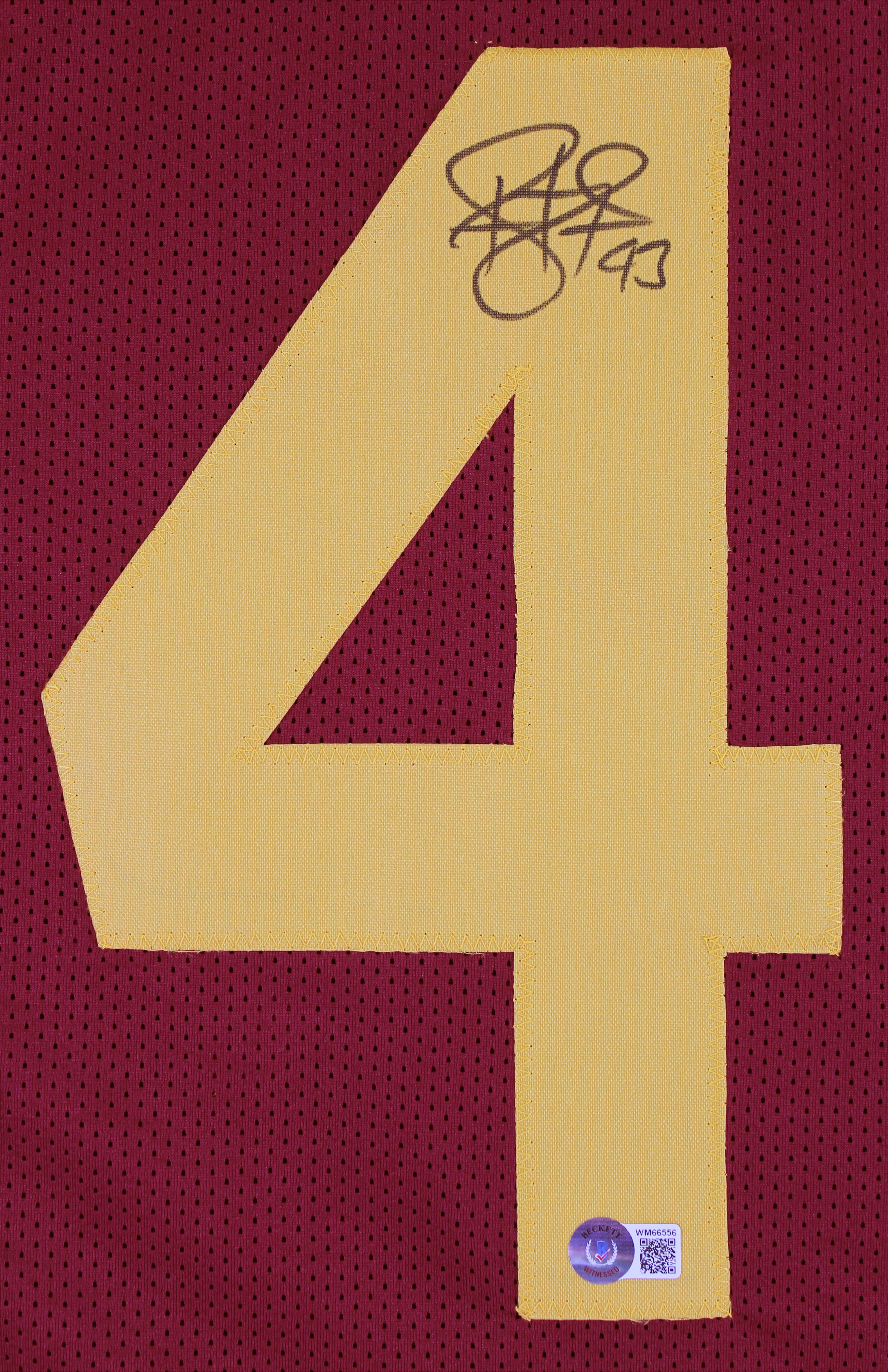 Troy Polamalu Authentic Signed Maroon Pro Style Jersey Autographed BAS Witnessed