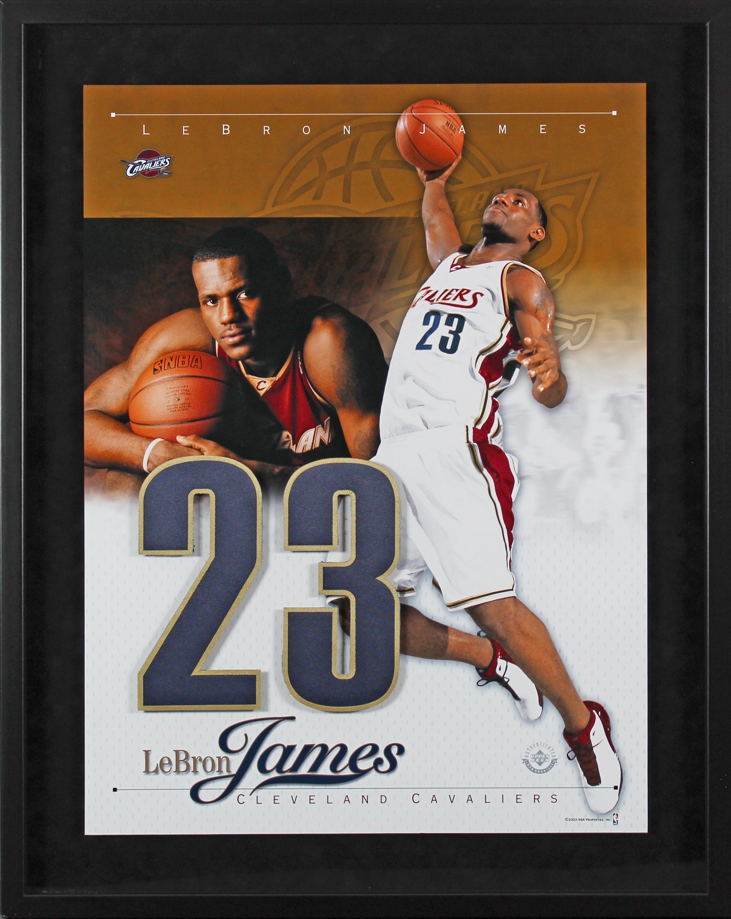 Cavaliers LeBron James Framed Display Un-signed #LBJFRMD1