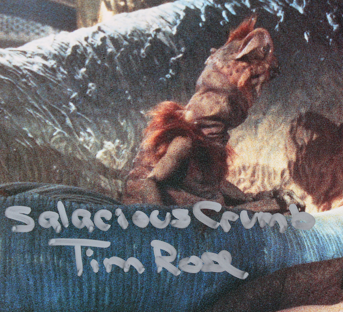 Star Wars (3) Carrie Fisher, Rose & Philpot Signed 11x14 Photo BAS #AA03815