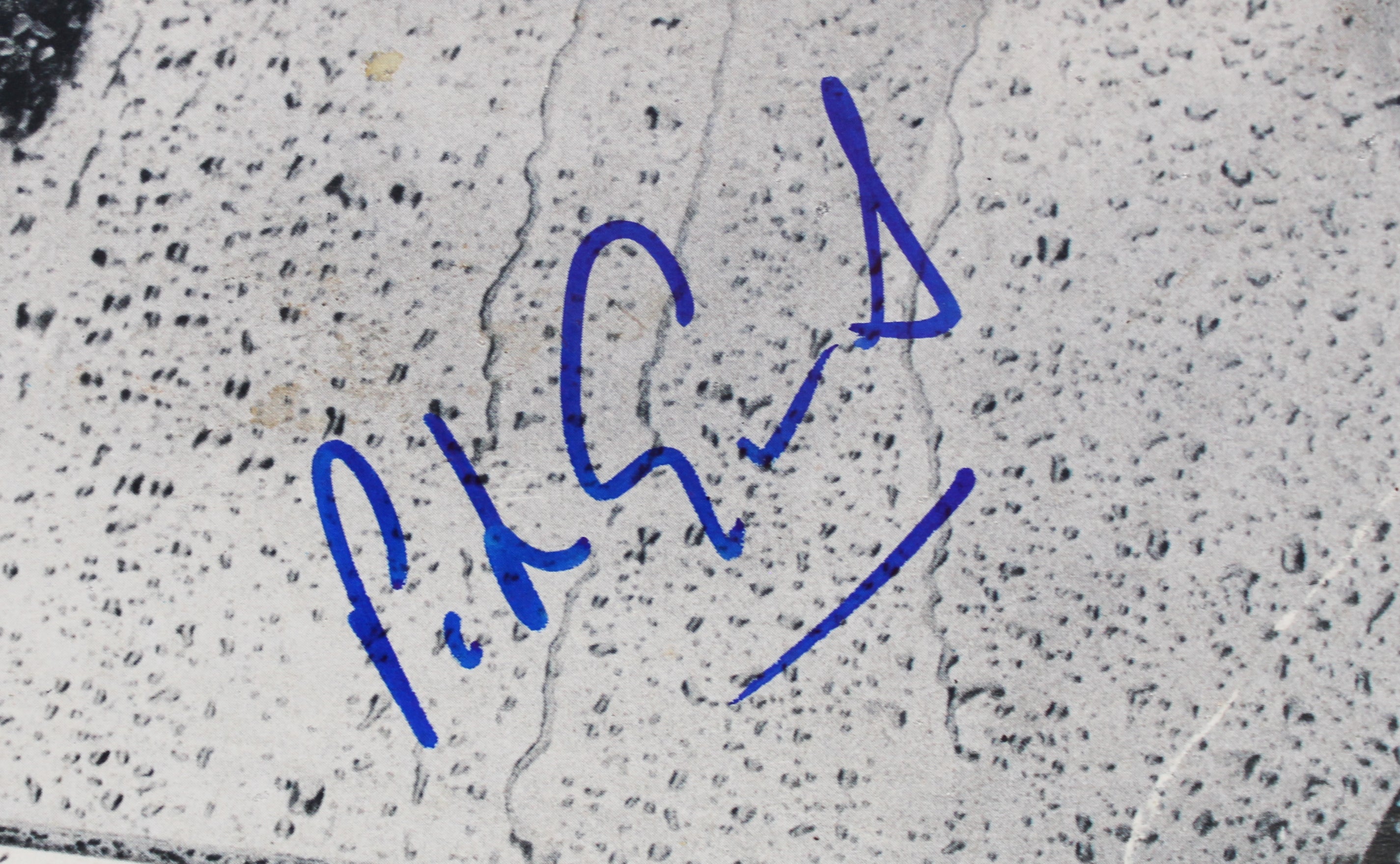 Peter Gabriel Authentic Signed Self Titled Album Cover Autographed JSA #AQ85702