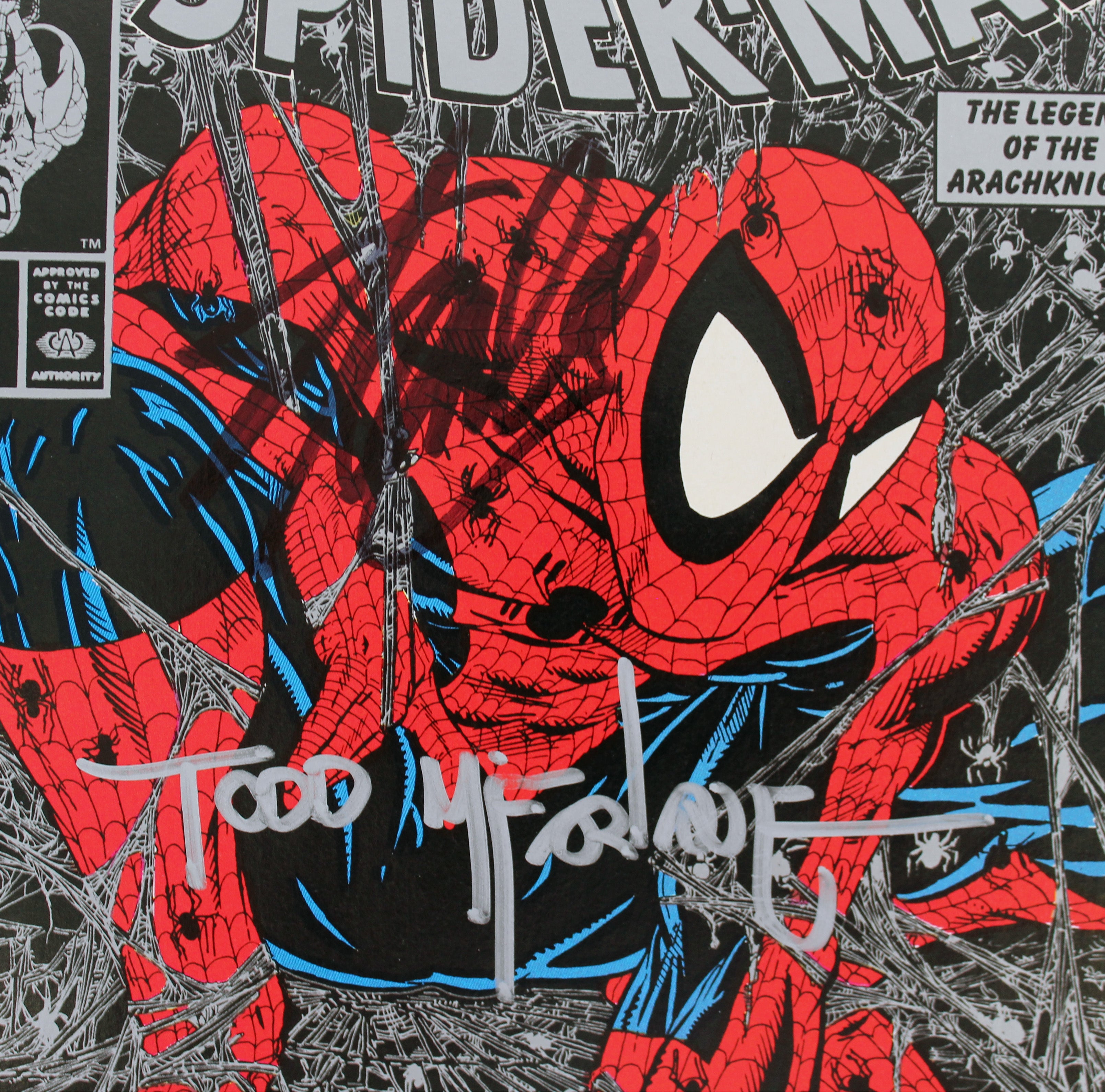 Stan Lee & Todd McFarlane Signed Spider-Man Torment #1 Silver Comic JSA #XX05178