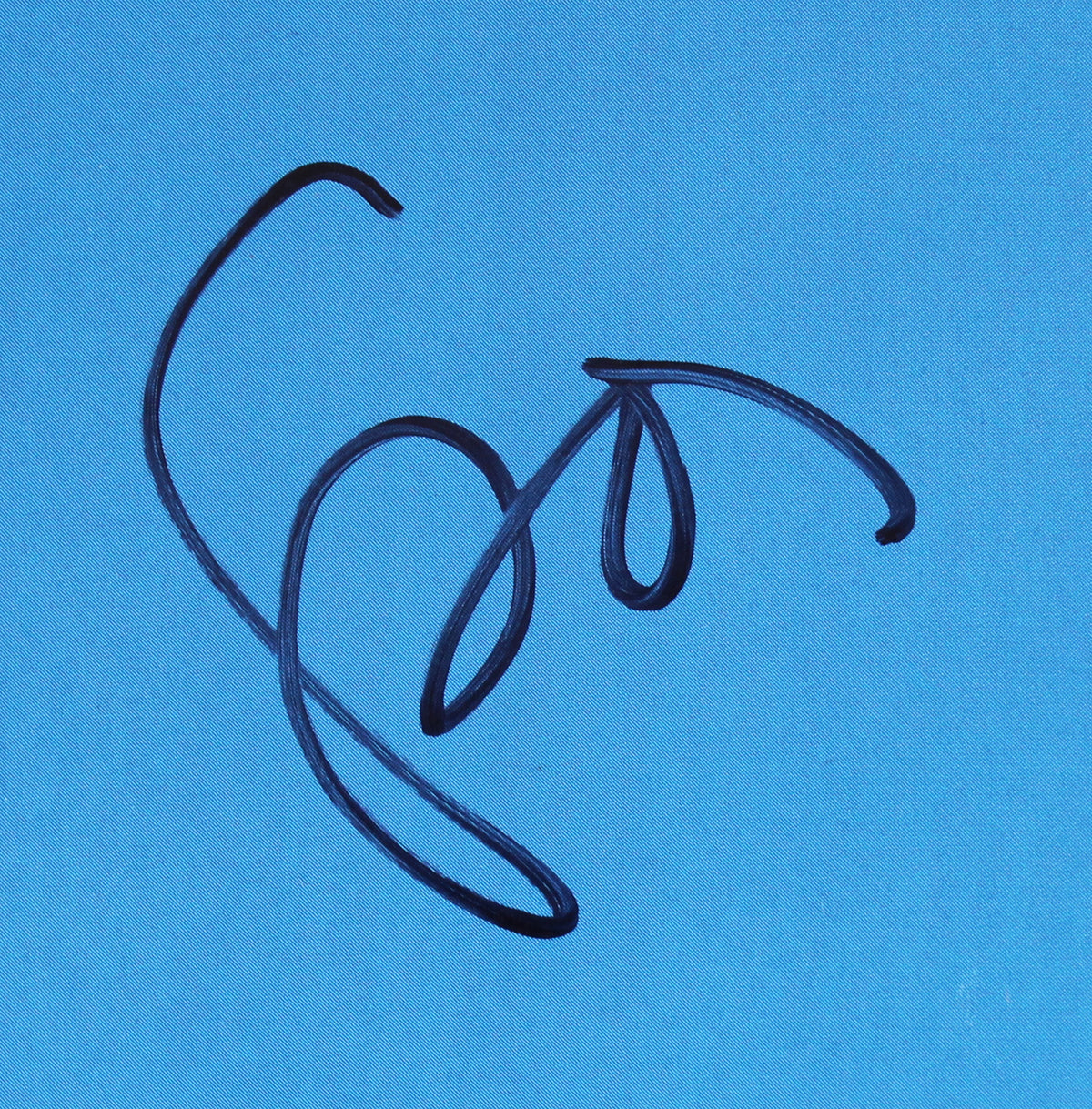 Stone Gossard Pearl Jam Signed Avocado Album Cover W/ Vinyl JSA #rr42354