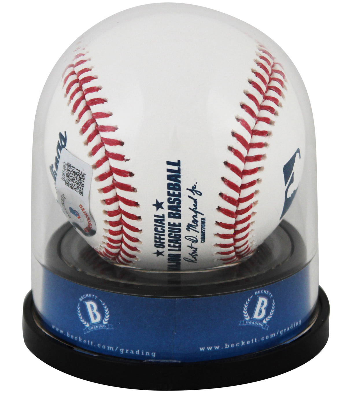 Mariners Ken Griffey Jr. HOF 16 Authentic Signed Oml Baseball Auto Grade 10 BAS