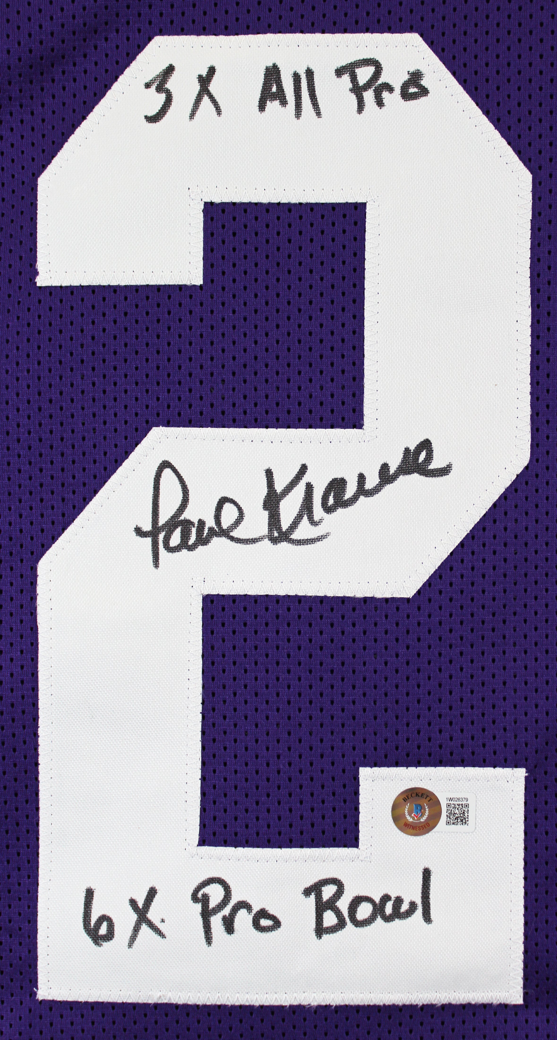 Paul Krause "Stat"  Authentic Signed Purple Pro Style Jersey BAS Witnessed