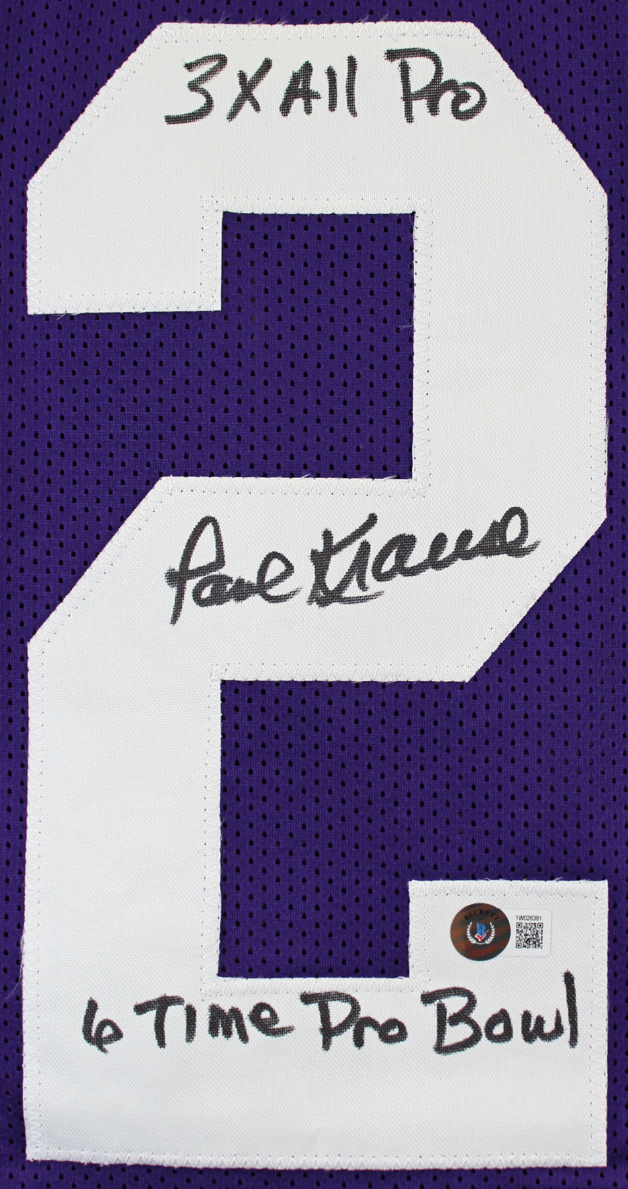 Paul Krause "Stat"  Authentic Signed Purple Pro Style Jersey BAS Witnessed 3