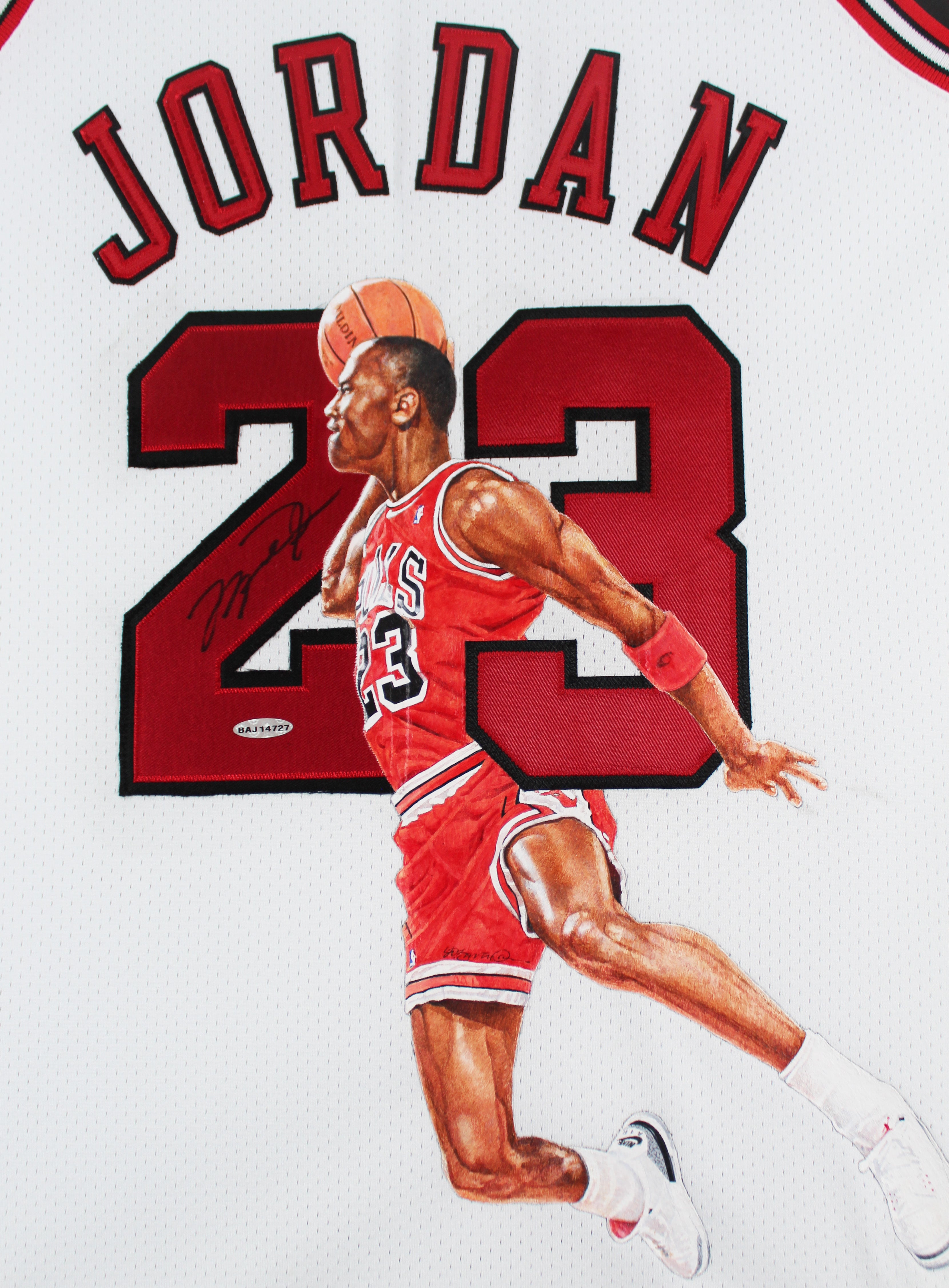 Bulls Michael Jordan Signed William Zavala Hand Painted M&N Framed Jersey UDA