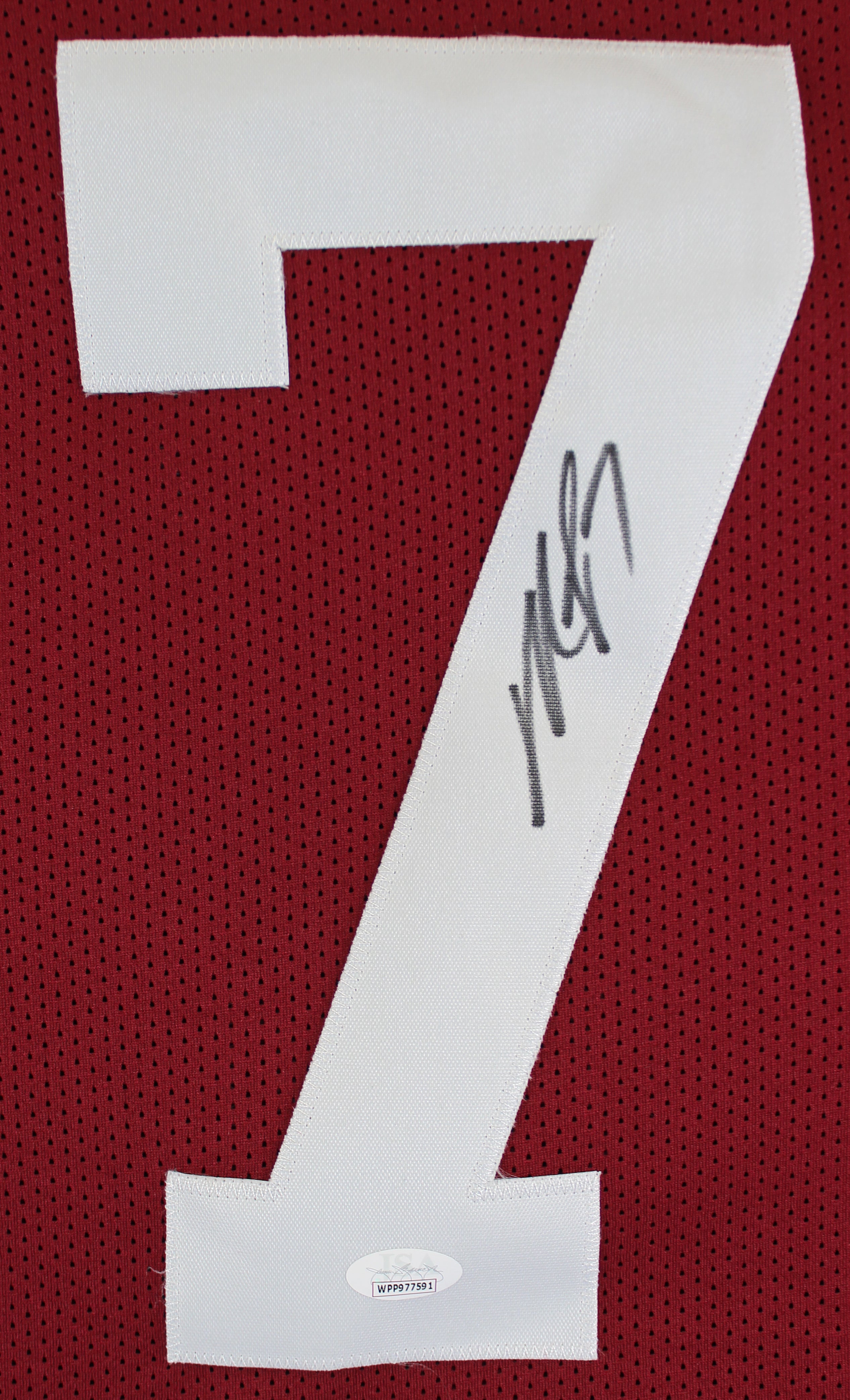 Virginia Tech Michael Vick Authentic Signed Maroon Pro Style Jersey JSA Witness