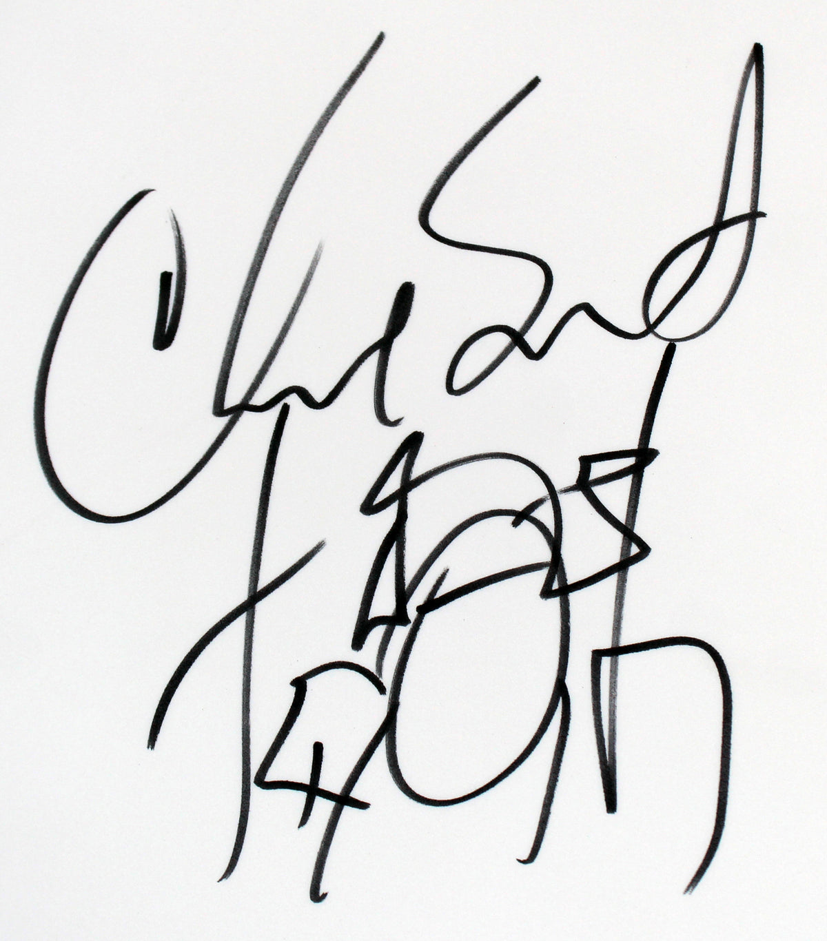 Chad Smith RHCP Authentic Signed 12 Inch Drum Head PSA/DNA #AM19980