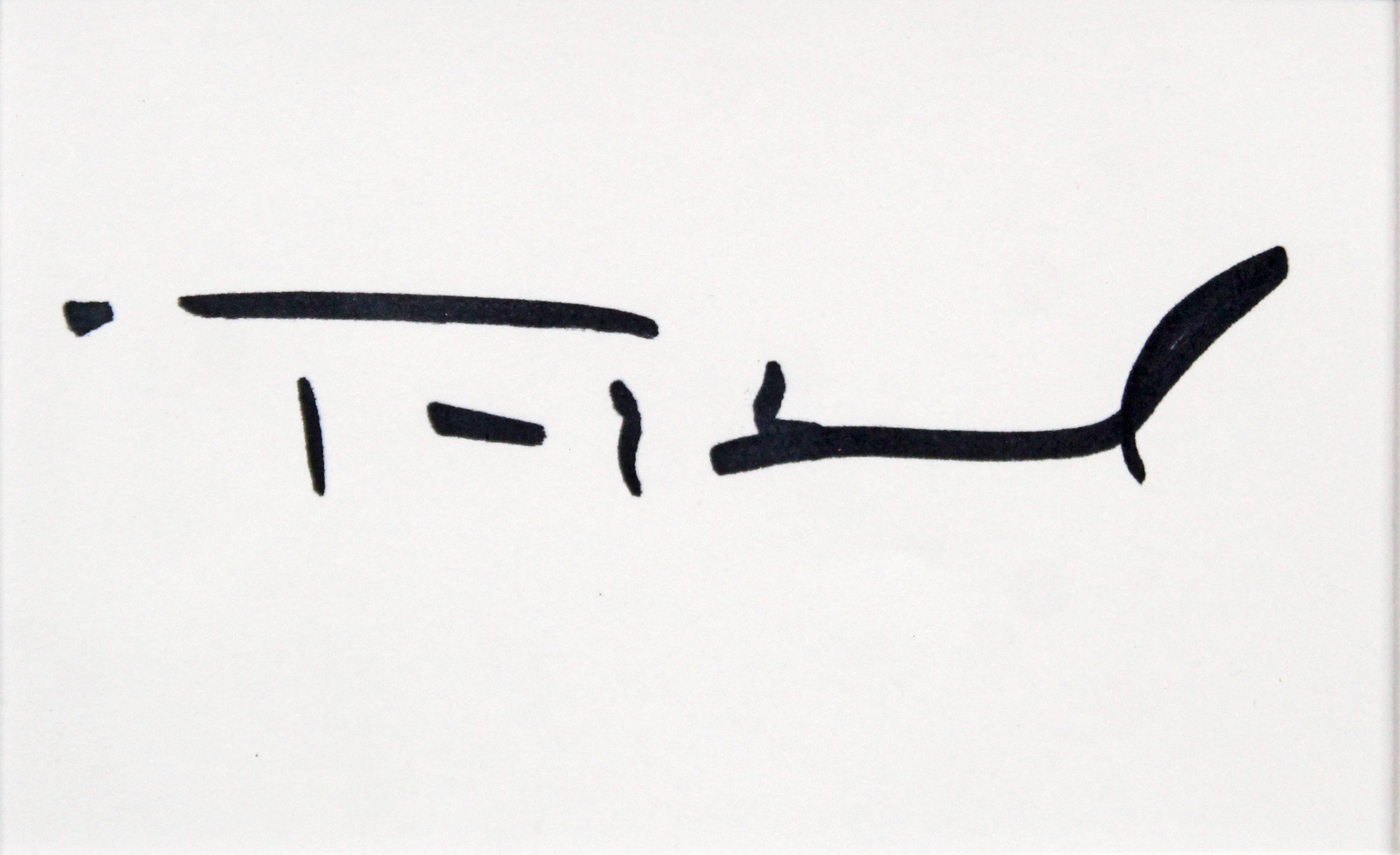 Daryl Hannah & Tom Hanks Splash Signed Index Card Framed Display BAS #AC26577