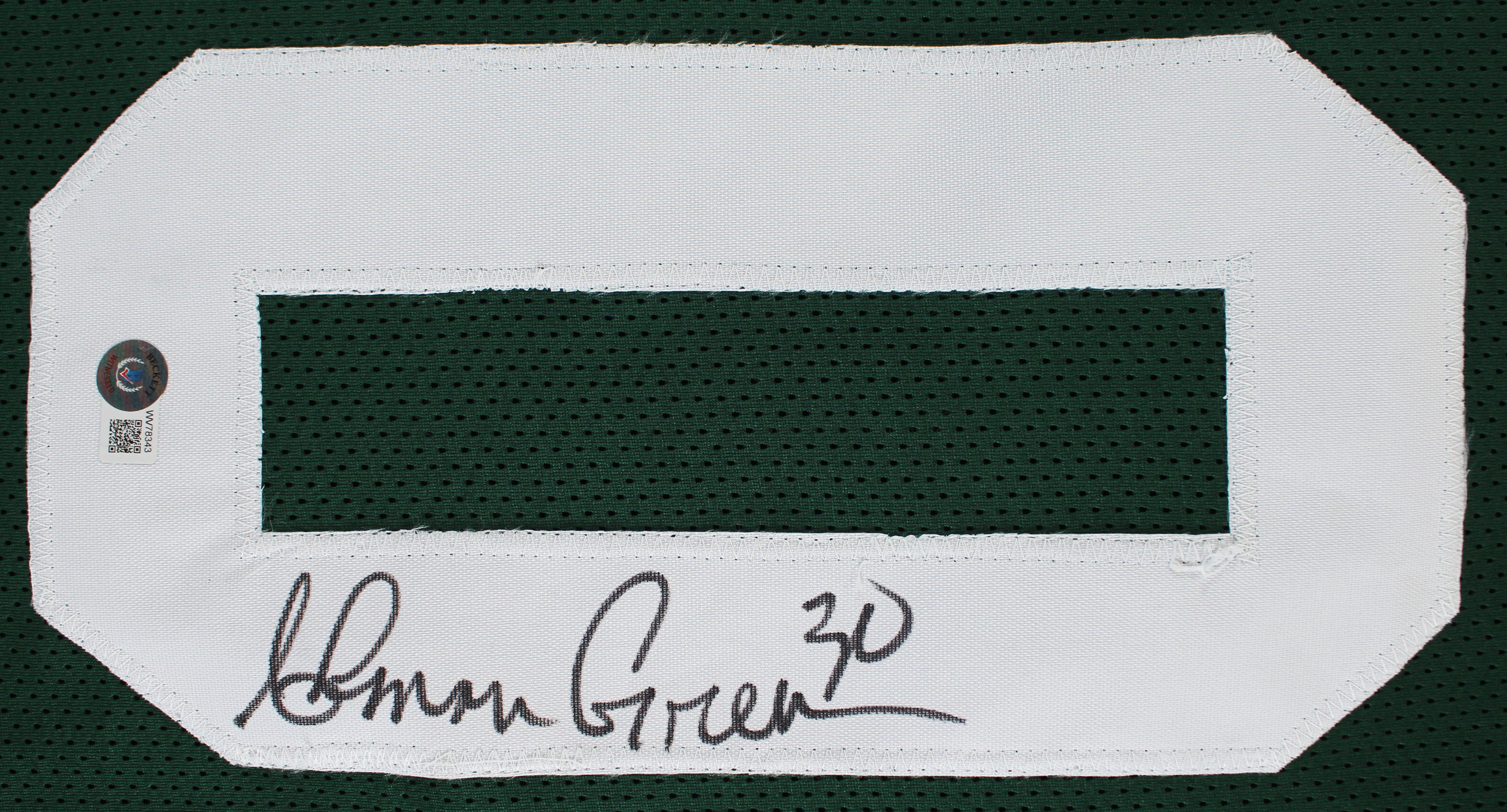 Ahman Green Authentic Signed Green Pro Style Jersey Autographed BAS Witnessed