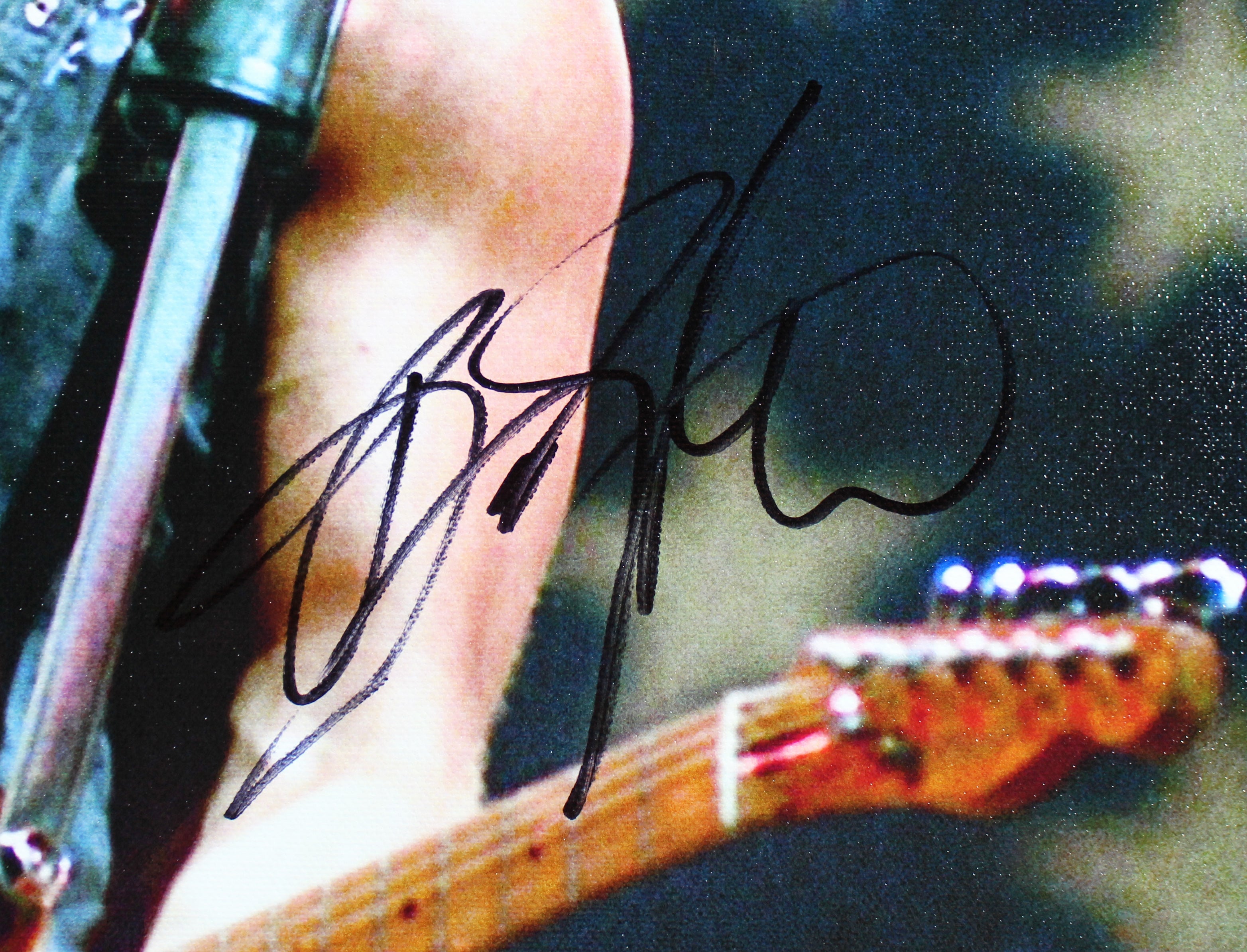 Bruce Springsteen Authentic Signed 19x23 Canvas Autographed PSA/DNA #V06289