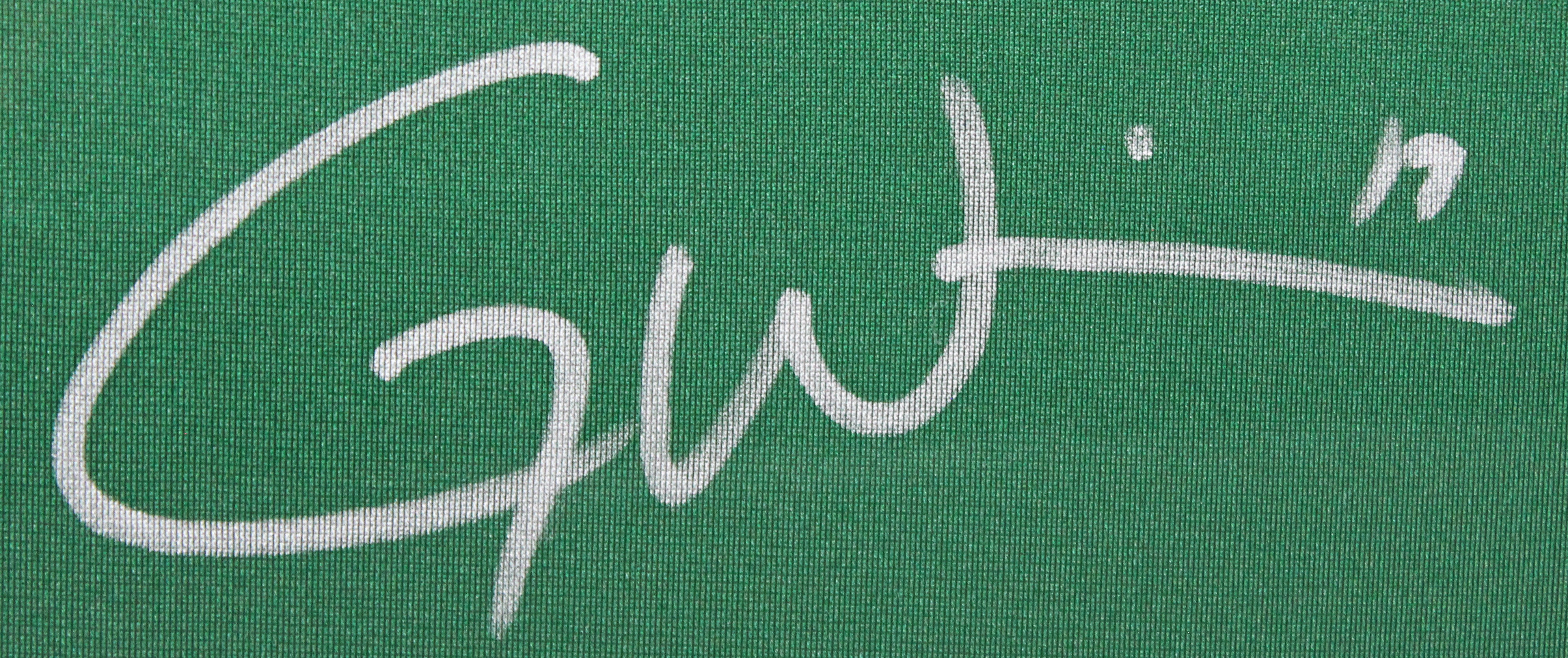 Jets Garrett Wilson Authentic Signed Green Nike Game Framed Jersey Fanatics