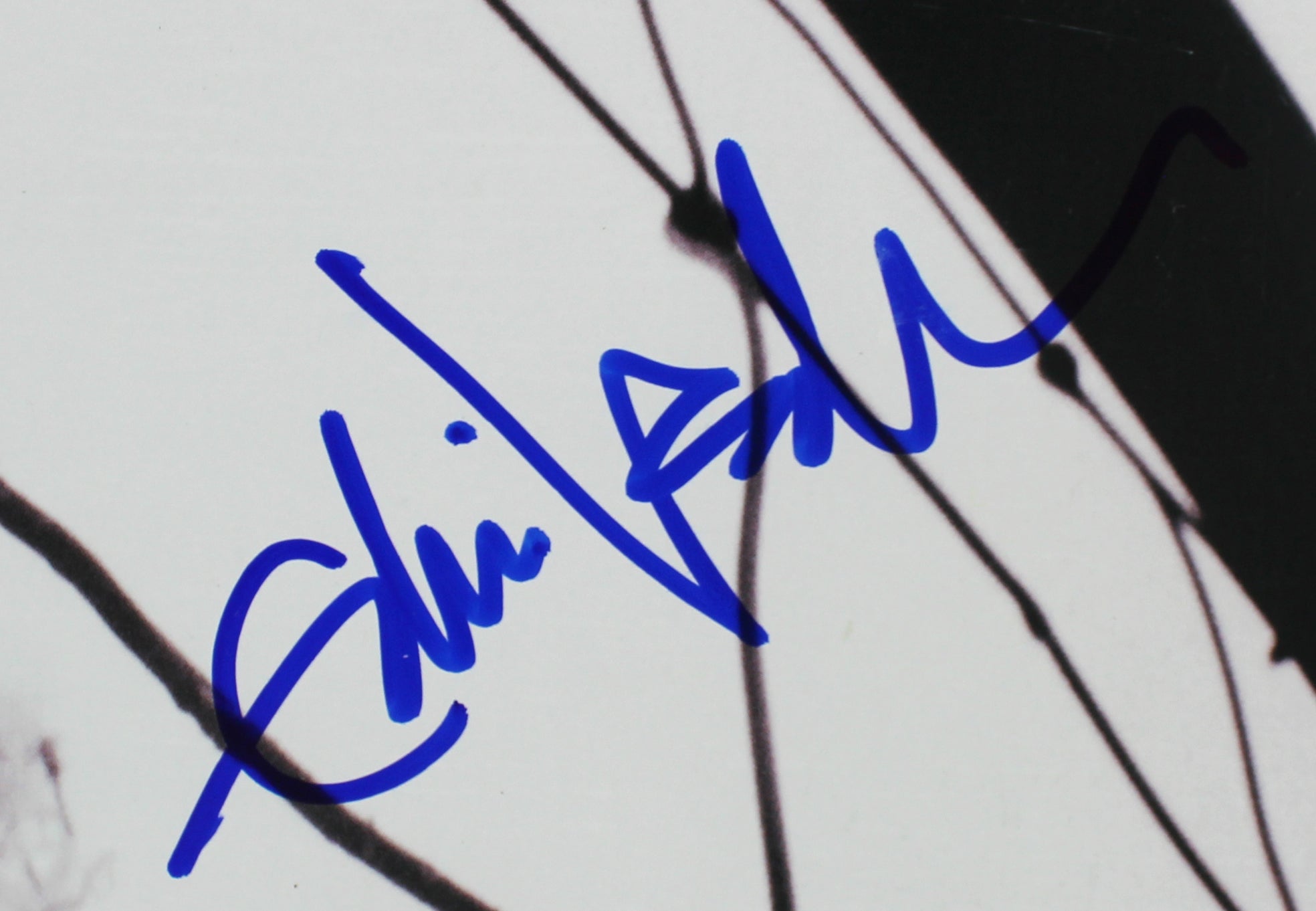 Eddie Vedder Pearl Jam Authentic Signed VS. Album Cover W/ Vinyl BAS #A05189