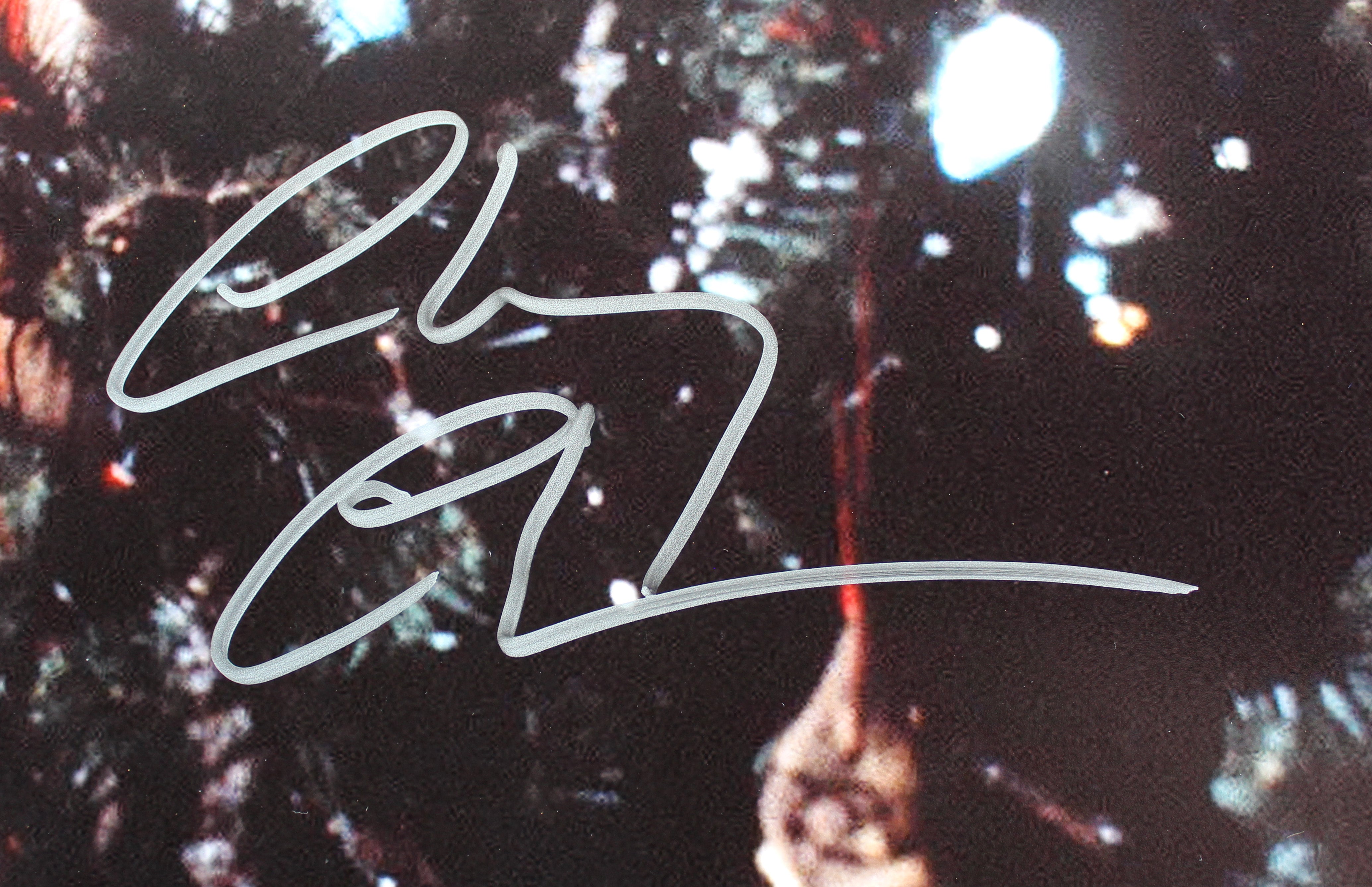 Chevy Chase Christmas Vacation Signed 16x20 Horizontal Tree Photo w/ Silver BAS