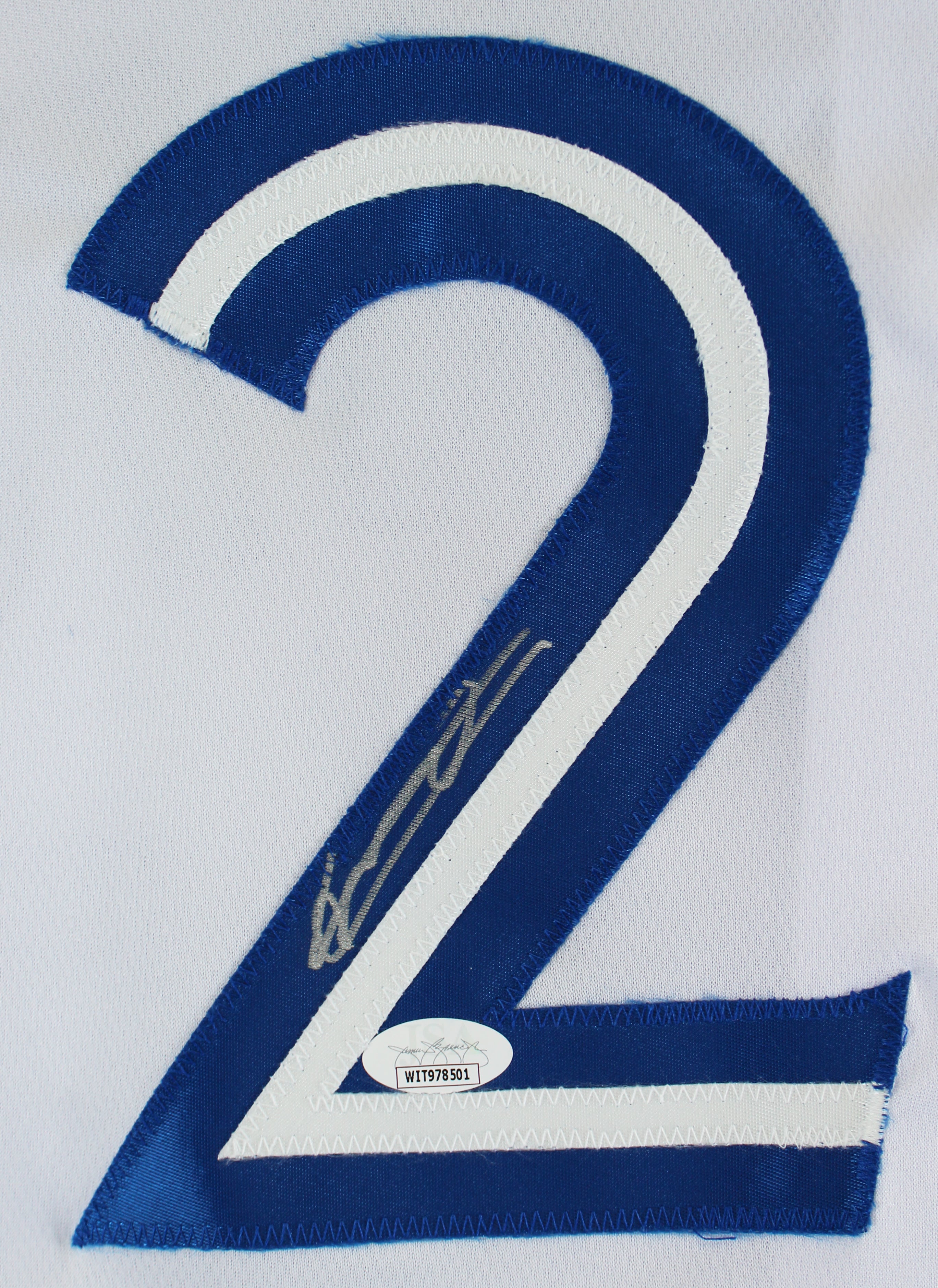 Vladimir Guerrero Jr. Authentic Signed White Pro Style Jersey JSA Witness