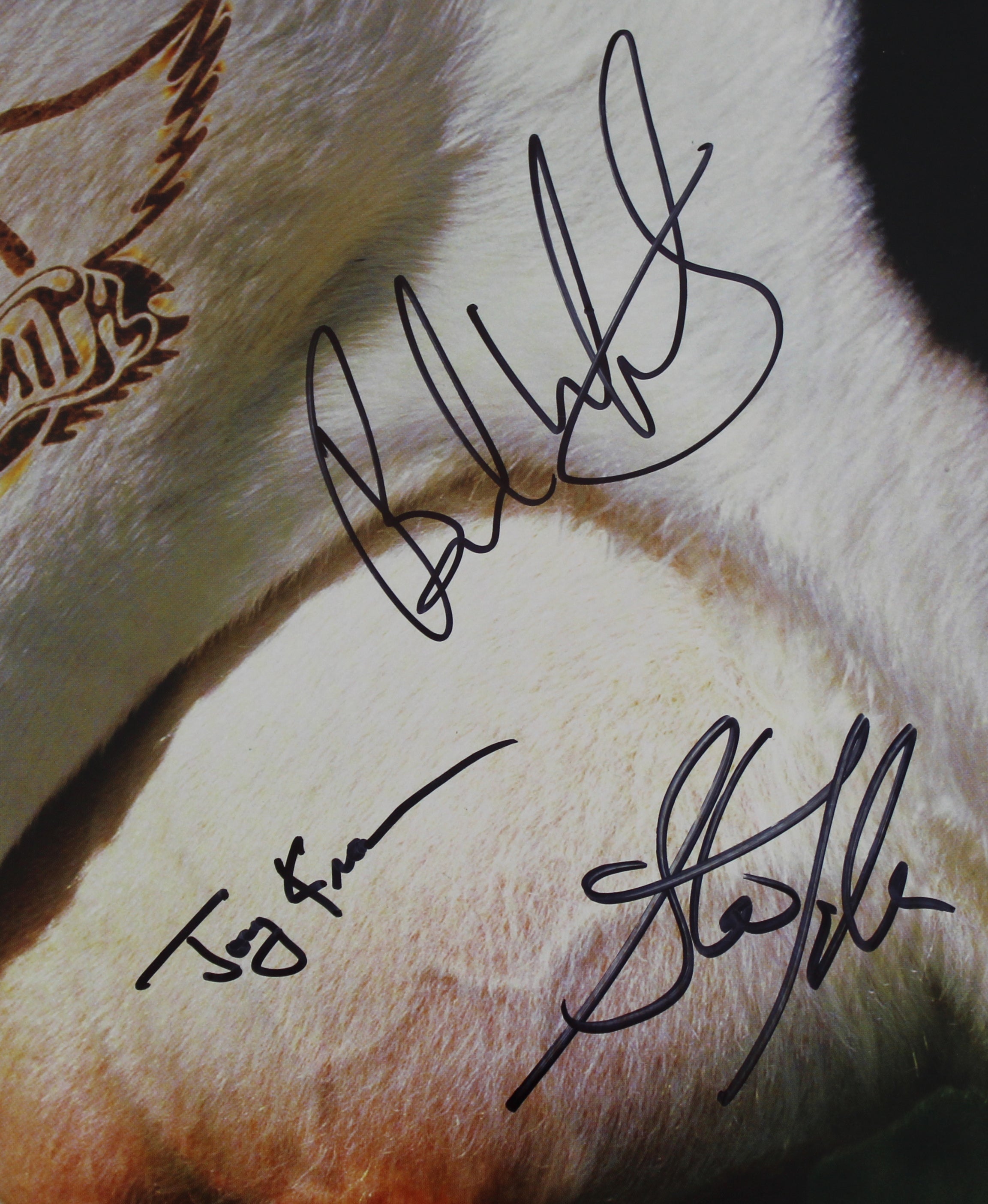 Aerosmith (5) Tyler, Perry, Hamilton +2 Signed Get A Grip Album Cover BAS LOA