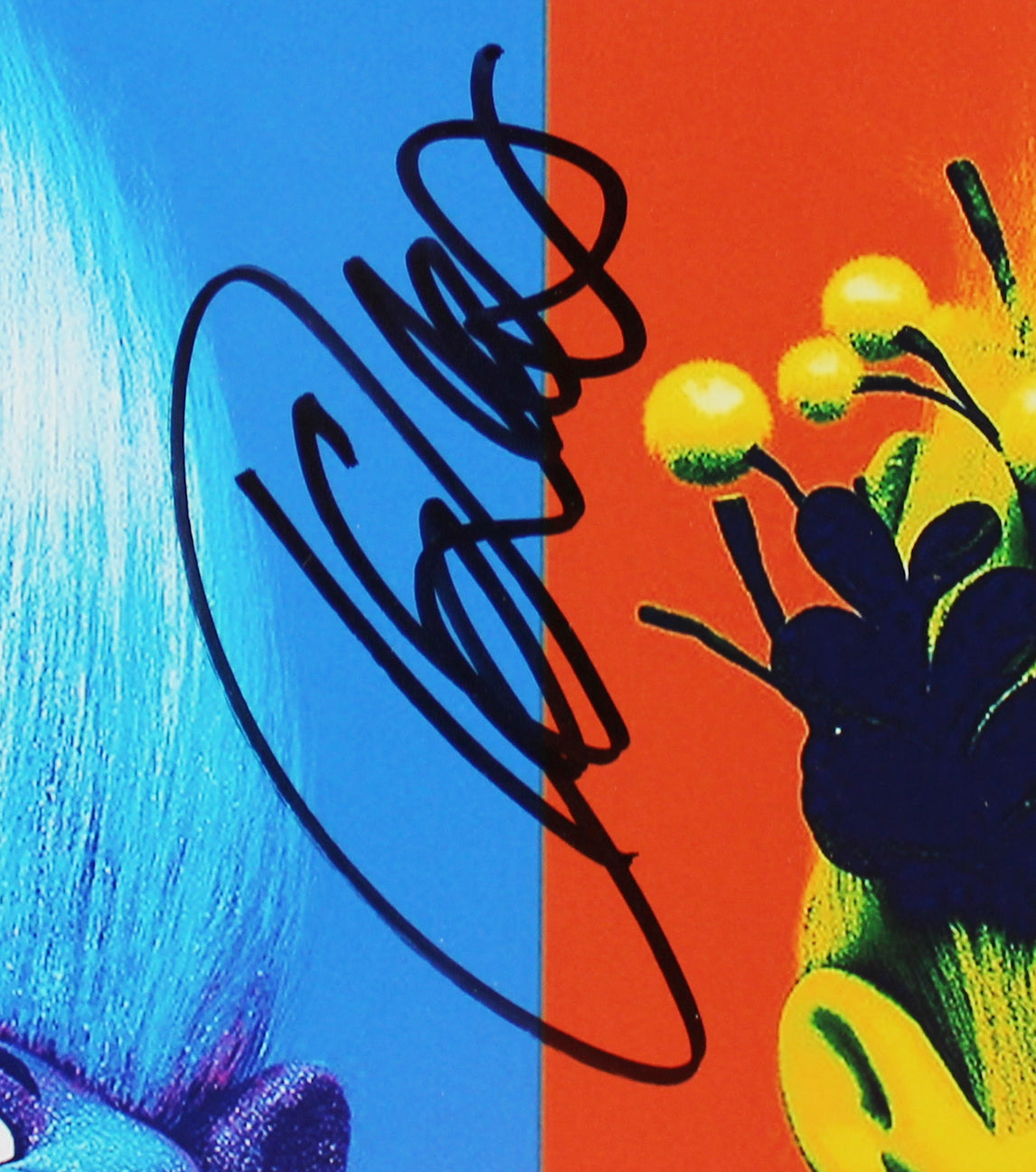 James Corden & Kunal Nayyar Trolls Authentic Signed 12x18 Photo BAS #U70213