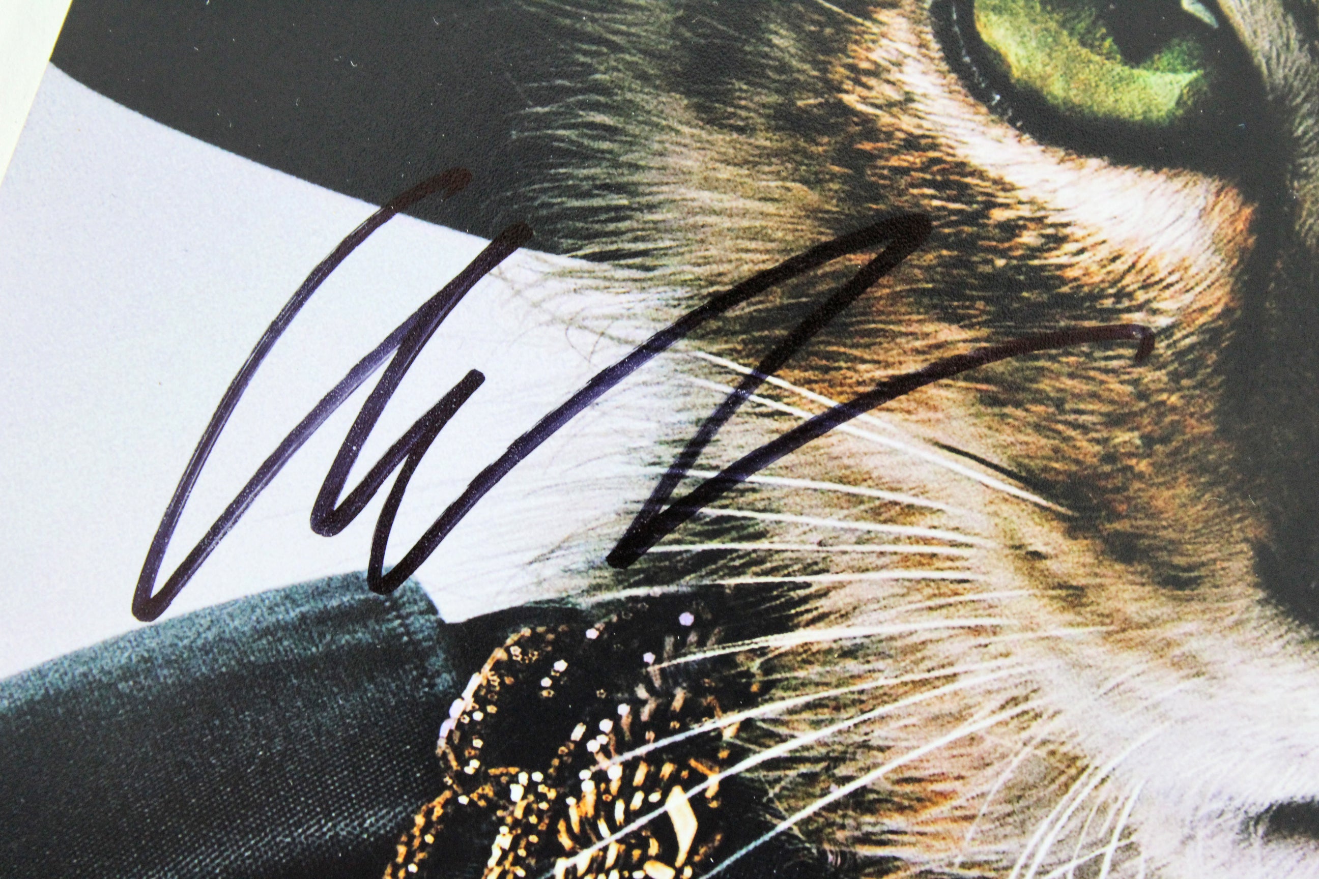 Keanu (4) Key, Neighbors, Britt-Gibson & Huebel Signed 12x18 Photo BAS #A75746