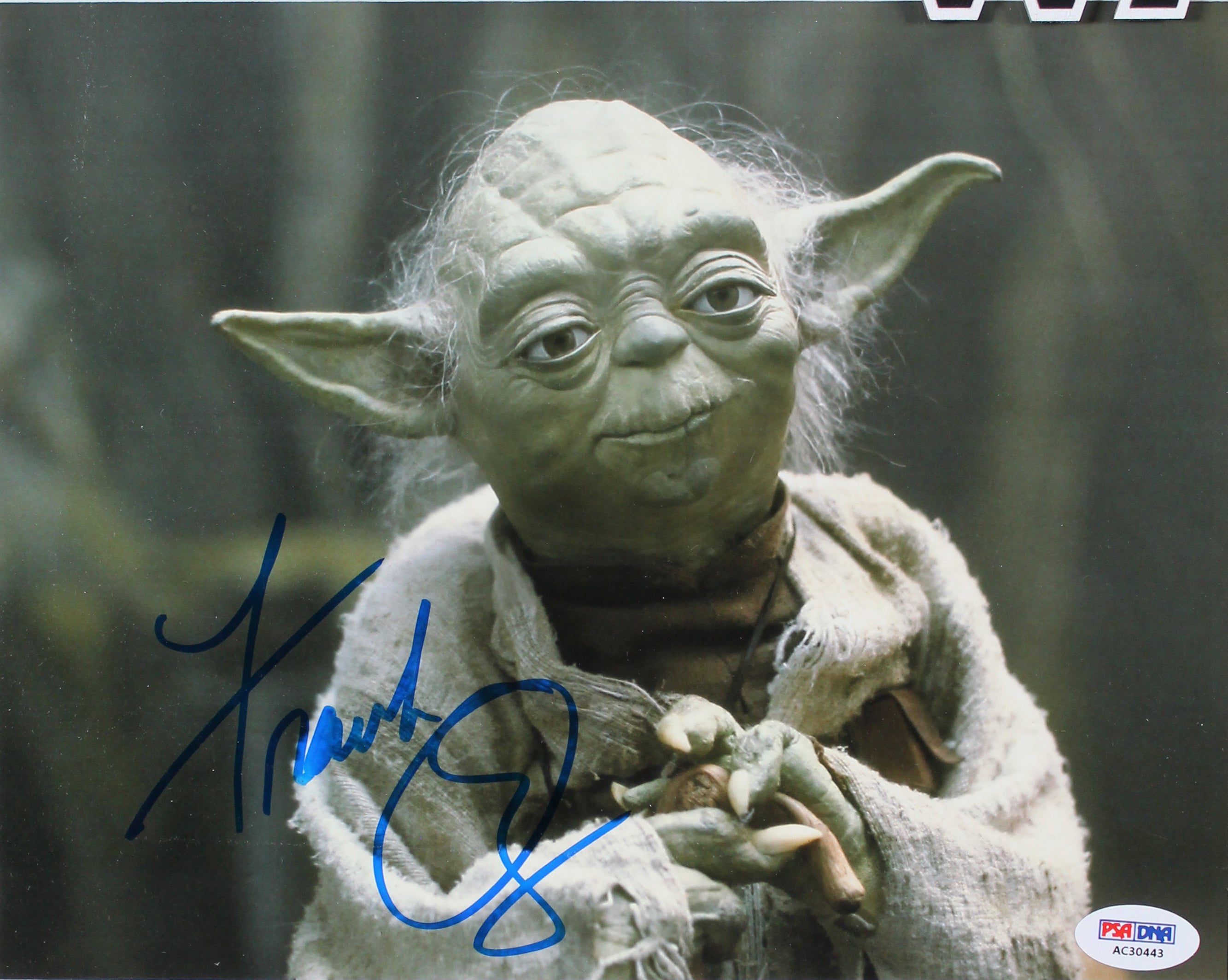 Frank Oz Star Wars Authentic Signed 8x10 Framed Photo PSA/DNA #AC30443