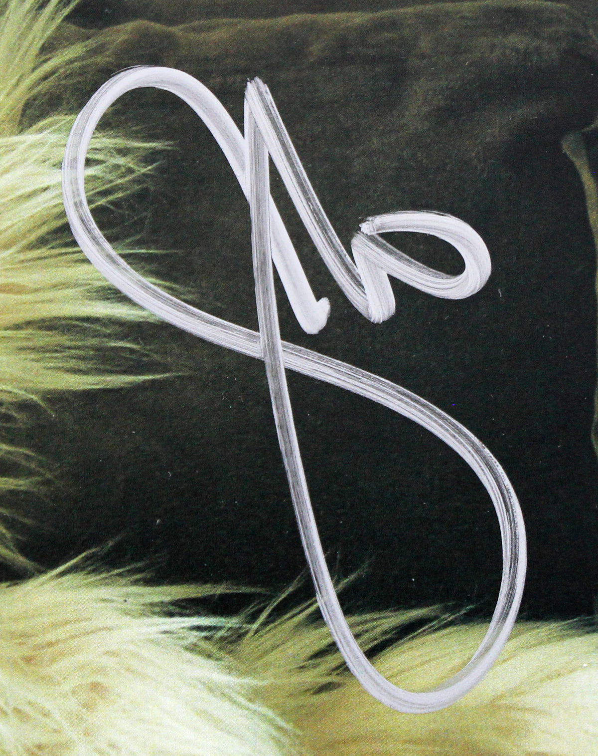 Jennifer Lopez Signed This Is Me...Now Album Flat w Album & Vinyl Silver Sig JSA