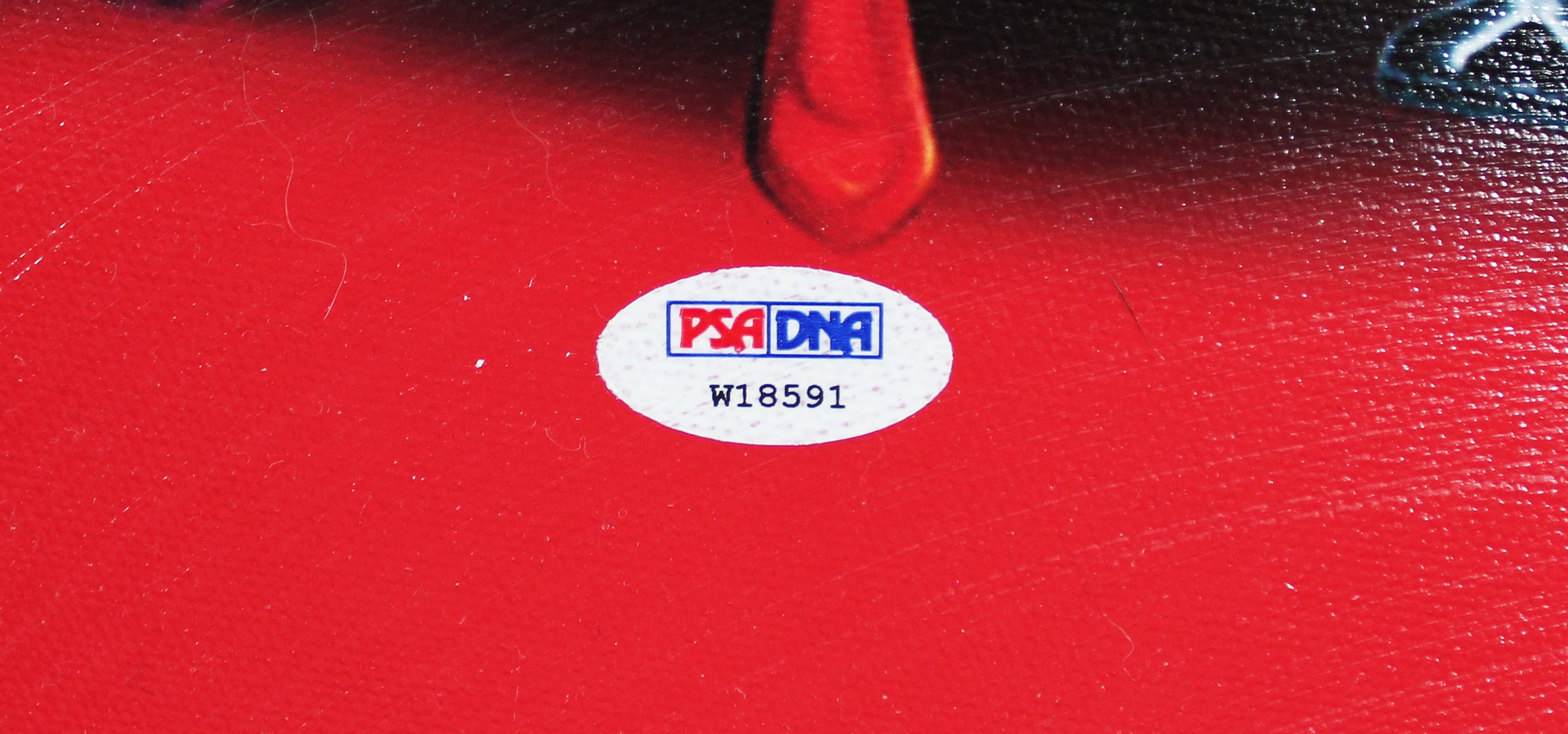 Stan Lee Marvel Authentic Signed 20x24 Marvel Cast Canvas PSA/DNA #W18591