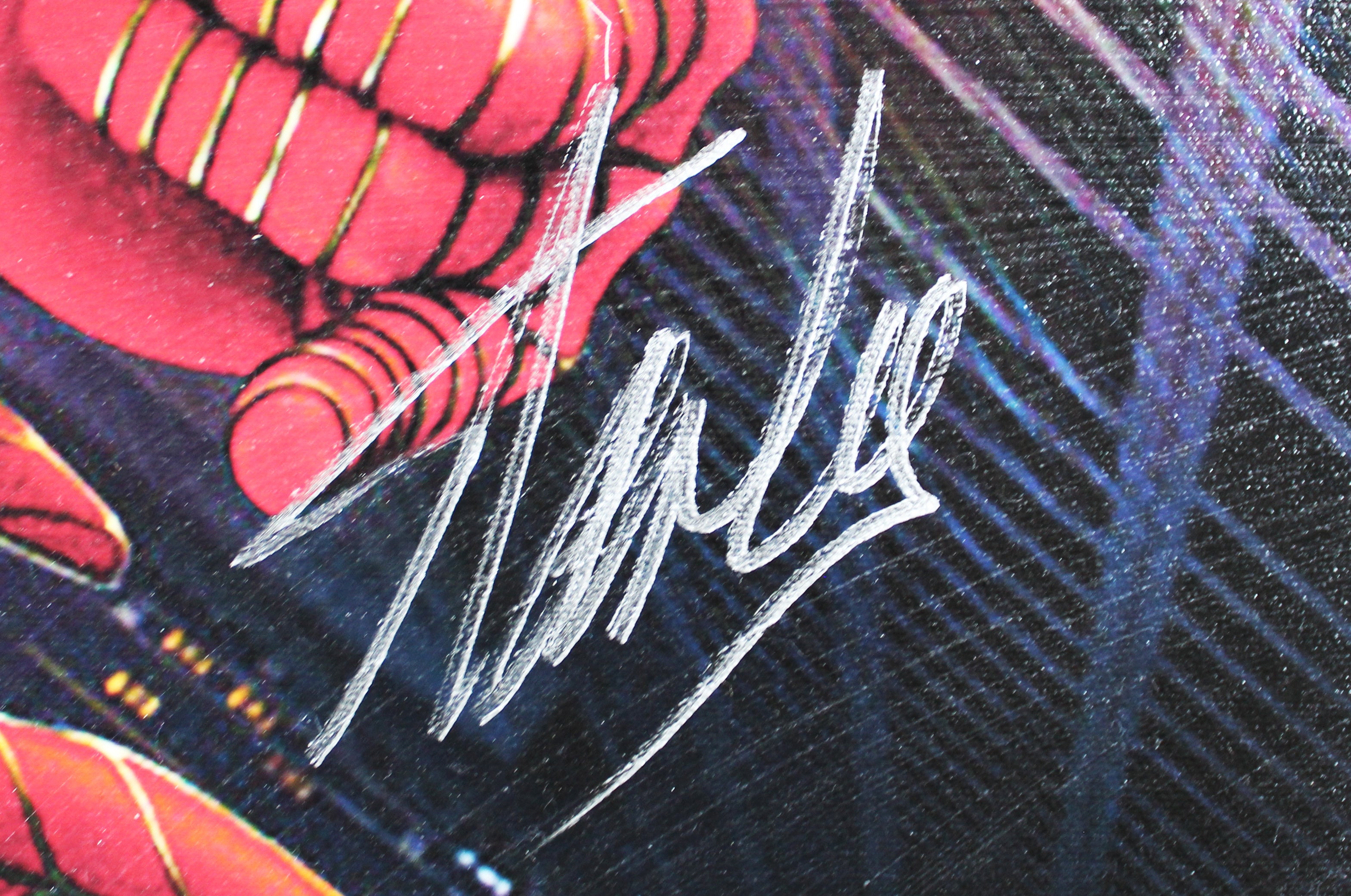 Stan Lee Marvel Authentic Signed 20x24 Spider-Man Canvas PSA/DNA #W18574