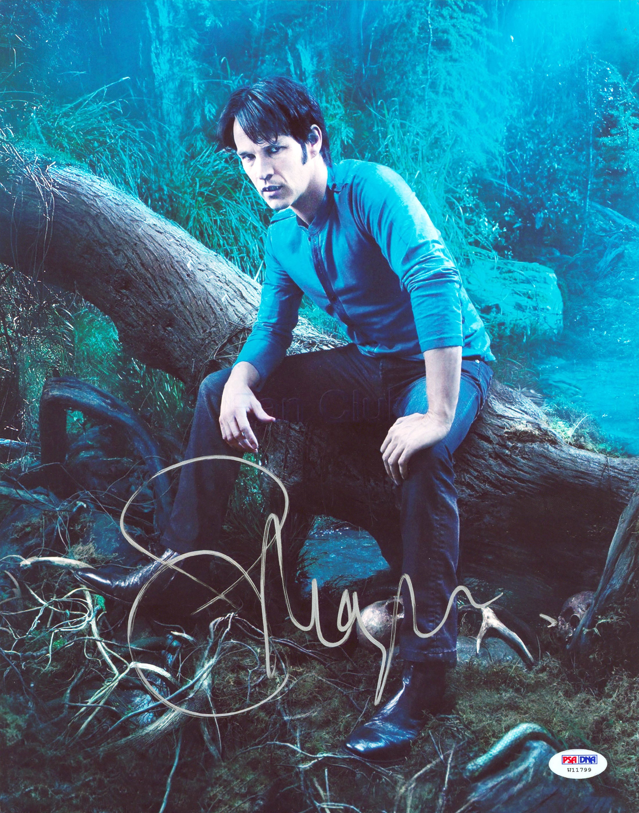 Stephen Moyer True Blood Authentic Signed 11x14 Vertical Photo PSA/DNA #W11799