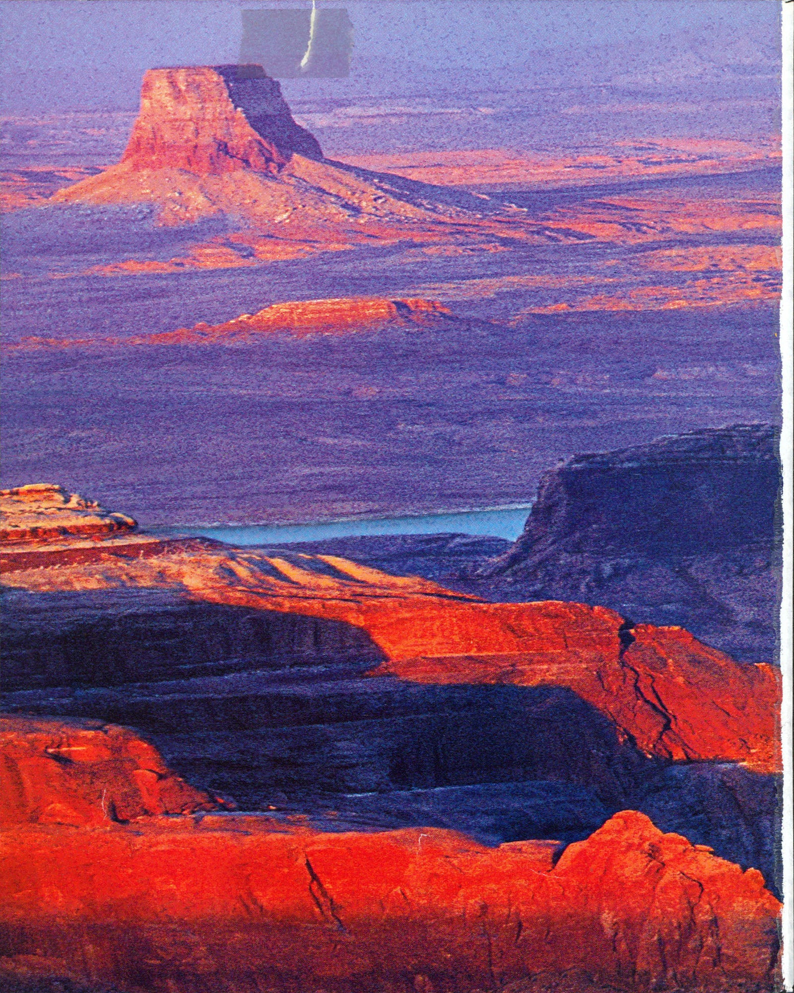 Selma Blair "Take Care And Best.." Signed Details Magazine Cover Jan. 2000 BAS