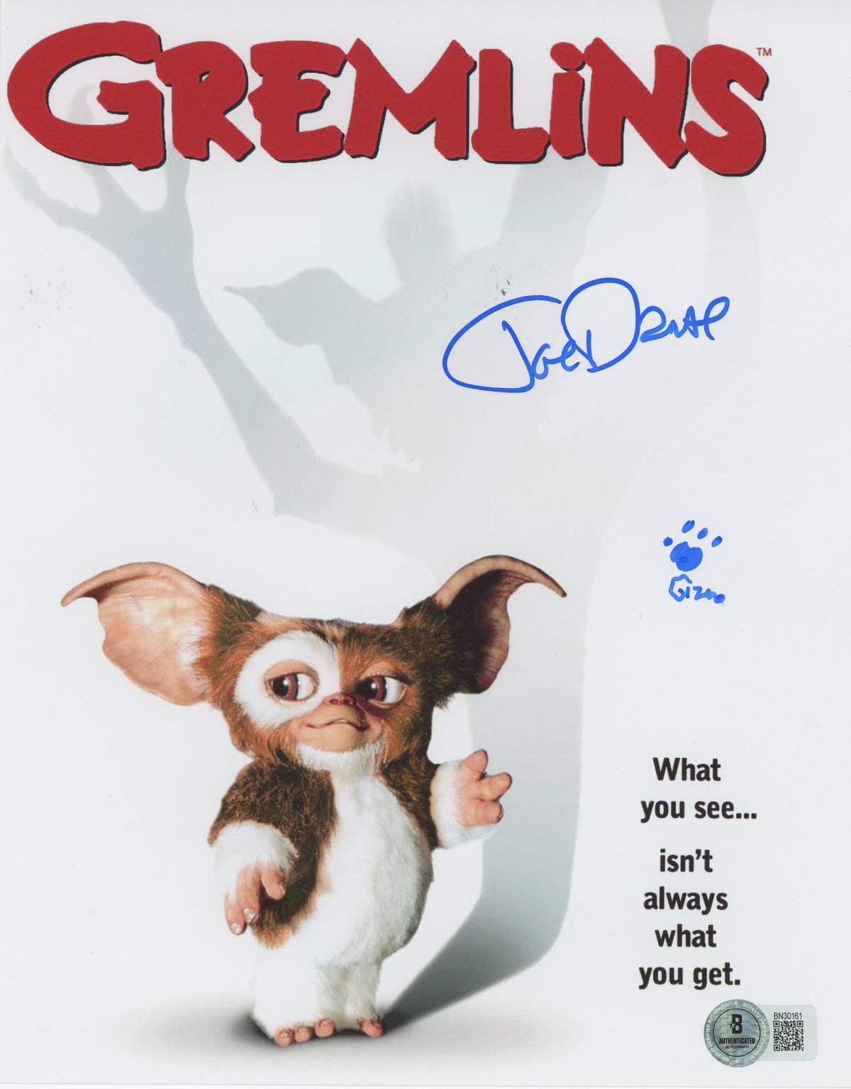 Joe Dante Gremlins "Gizmo" Authentic Signed 8x10 Photo Autographed BAS #BN30161