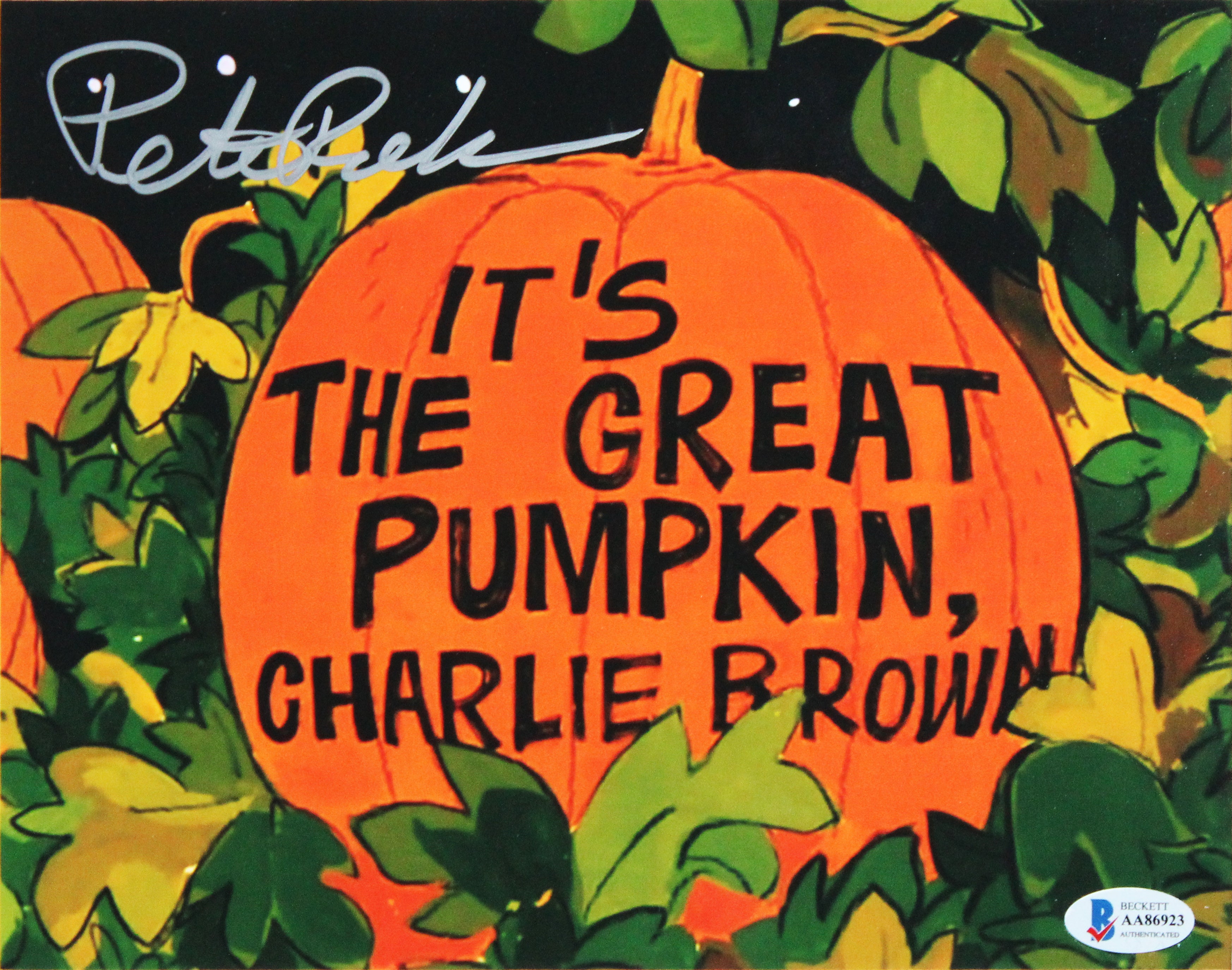 Peter Robbins Peanuts Authentic Signed 8x10 Framed Photo Autographed BAS