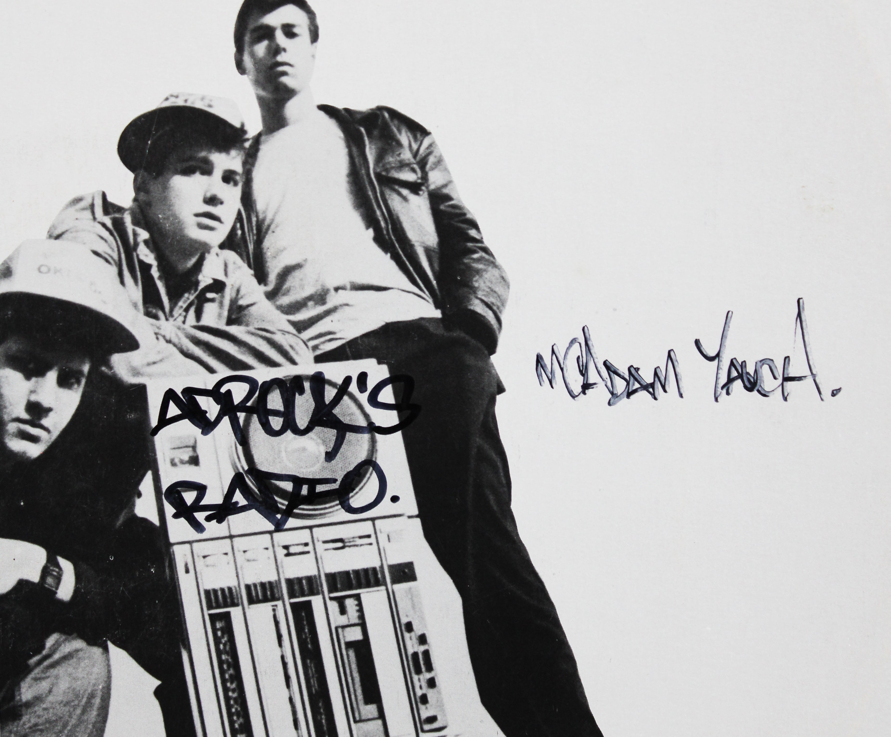 (3) MCA, Ad-Rock & Mike D Signed Fight For Your Right Album Cover W/ Vinyl JSA