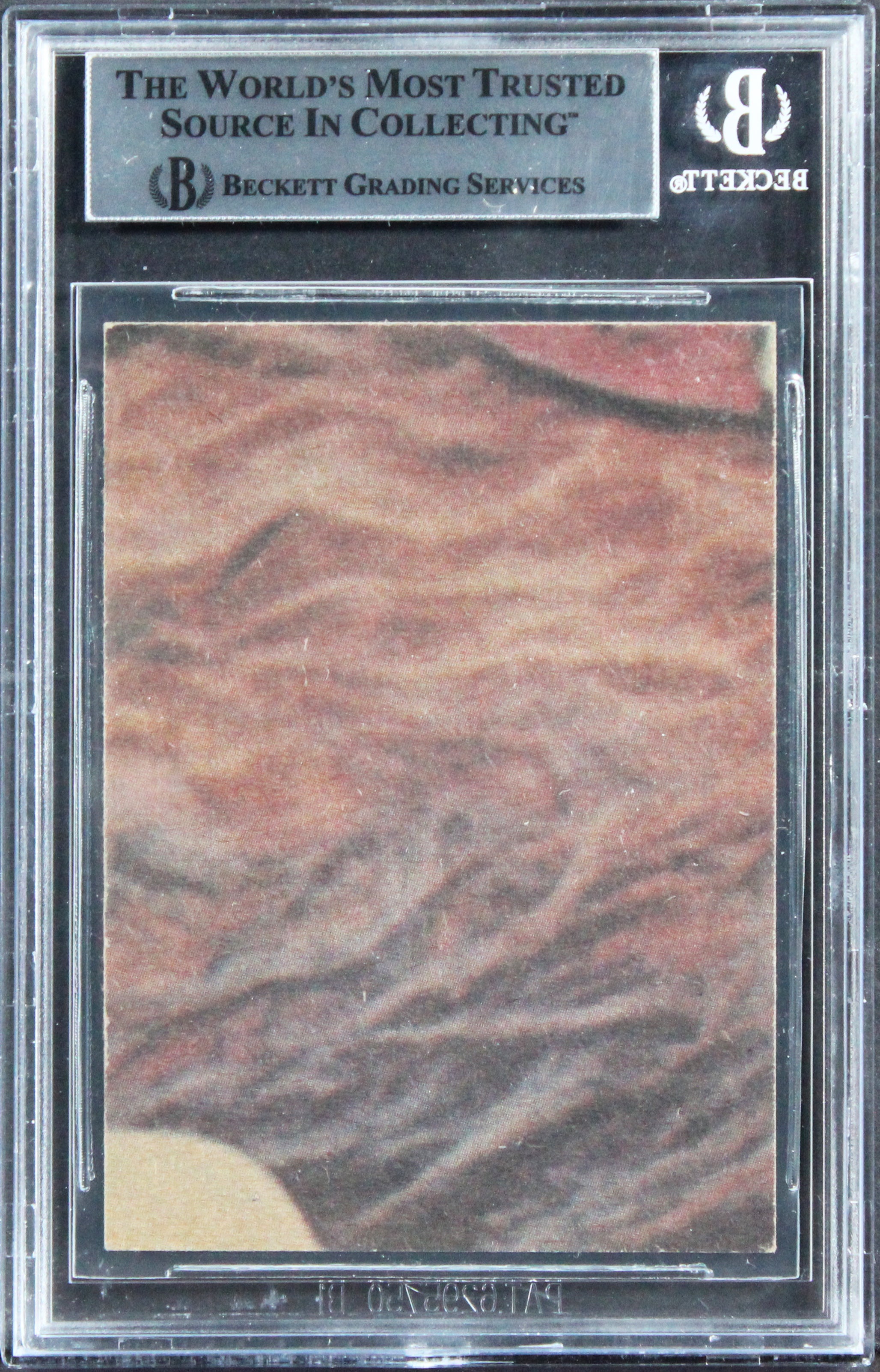 David Prowse & Terry McGovern "w/ Insc" Signed 1977 Star Wars #237 Card BAS Slab