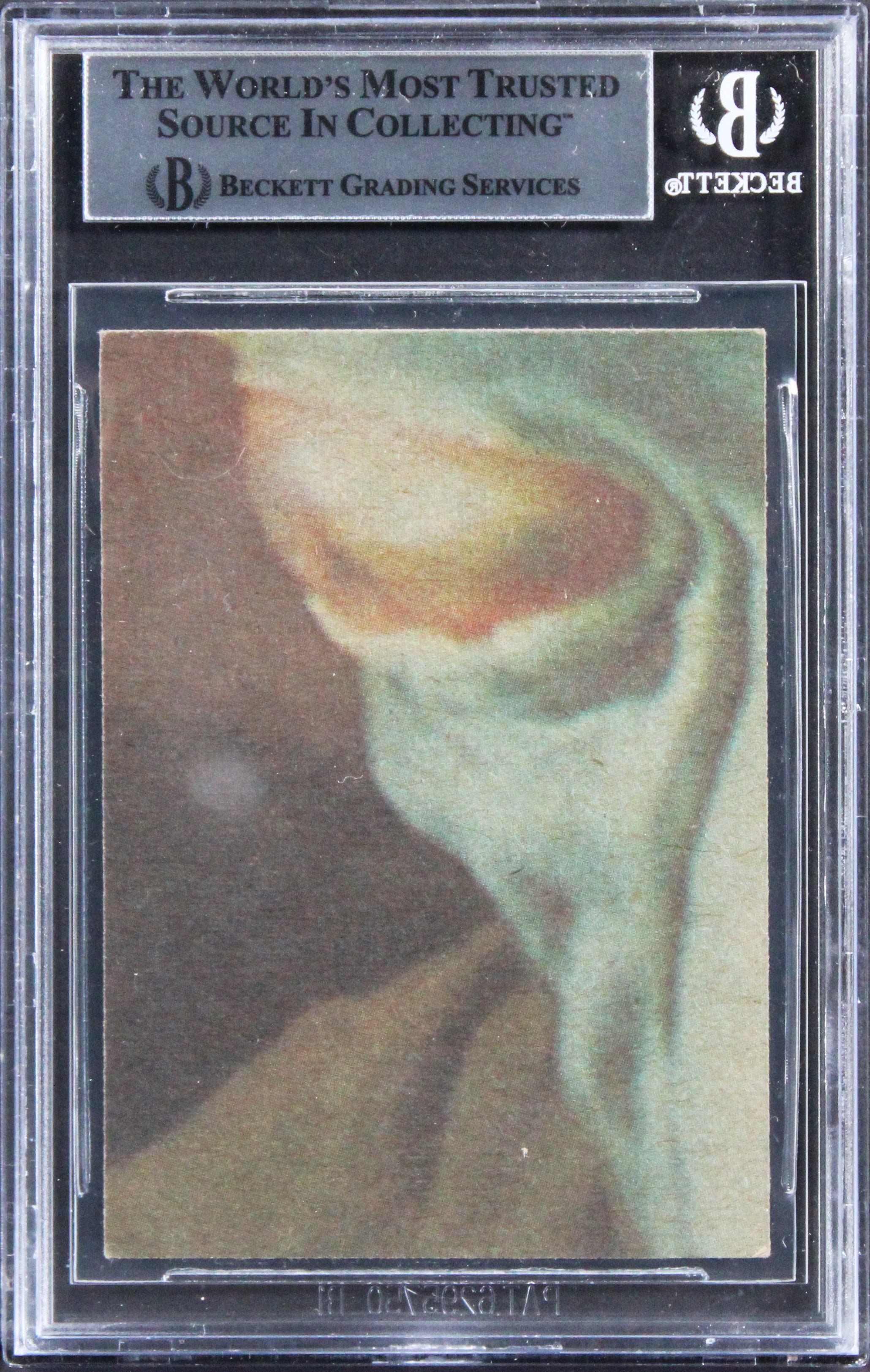 Peter Mayhew & Stuart Freeborn "w/ Insc" Signed 1977 Star Wars #75 Card BAS Slab