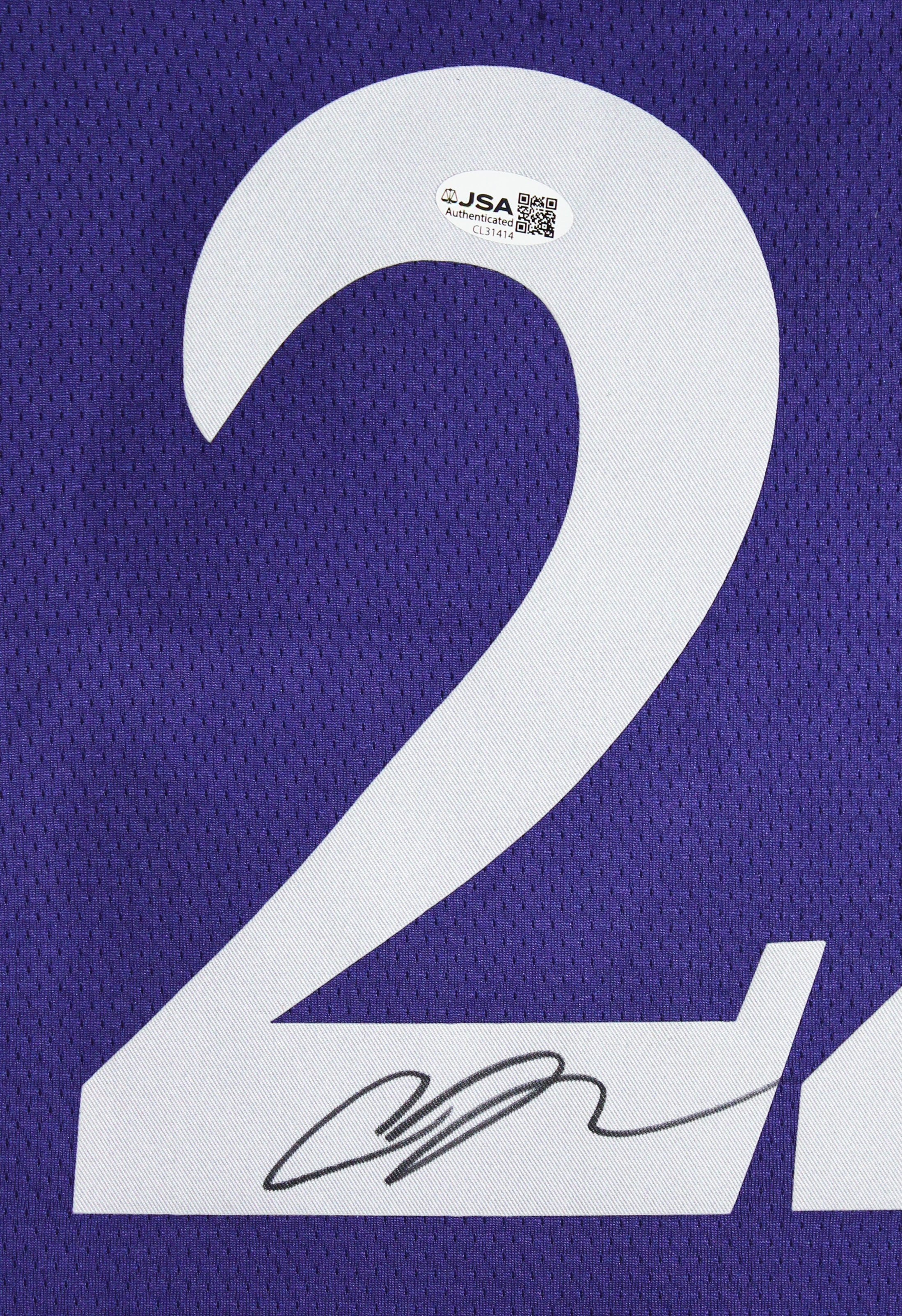 Sparks Cameron Brink Authentic Signed Purple Nike Framed Jersey JSA #CL31414