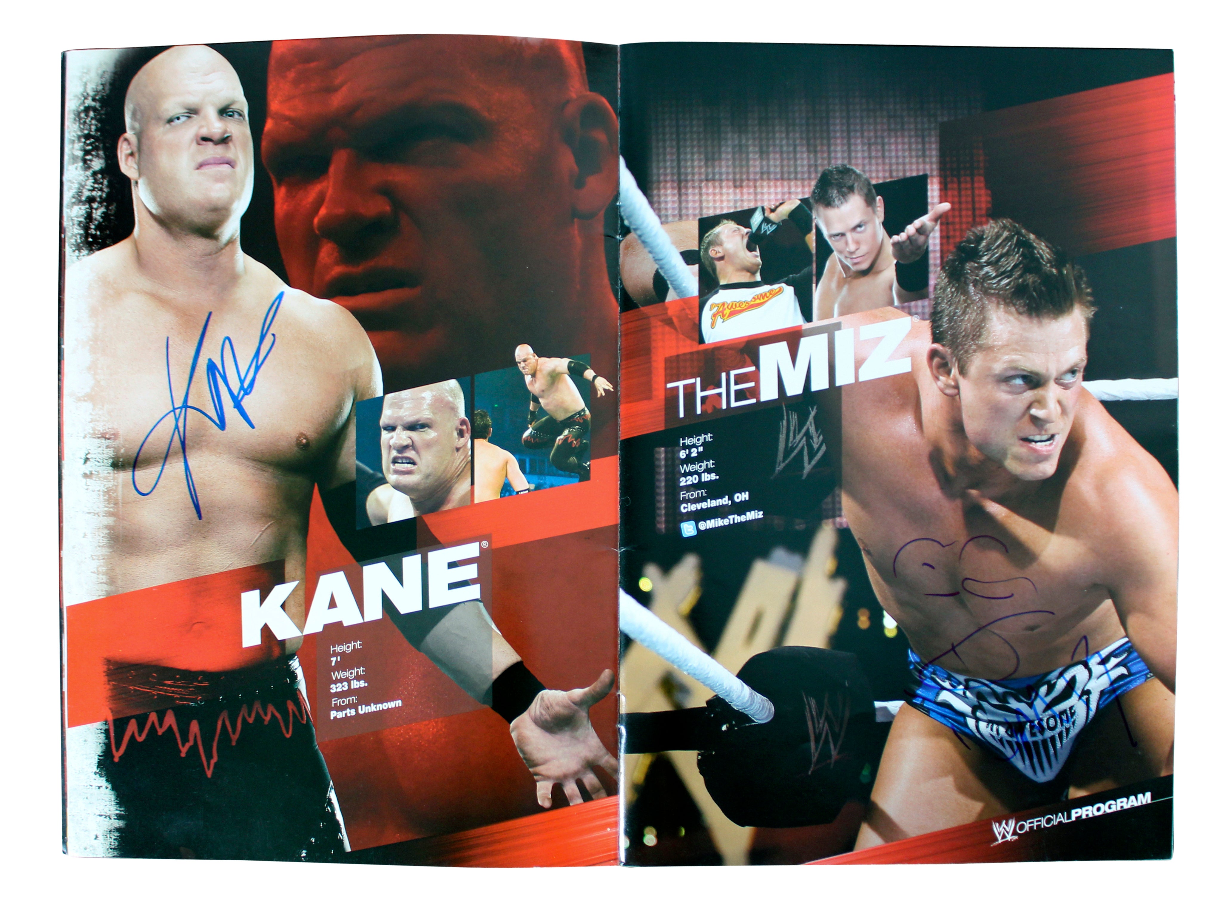 WWE Superstars (54) Rhodes, Kane, Sheamus, Mysterio Signed Official Program BAS