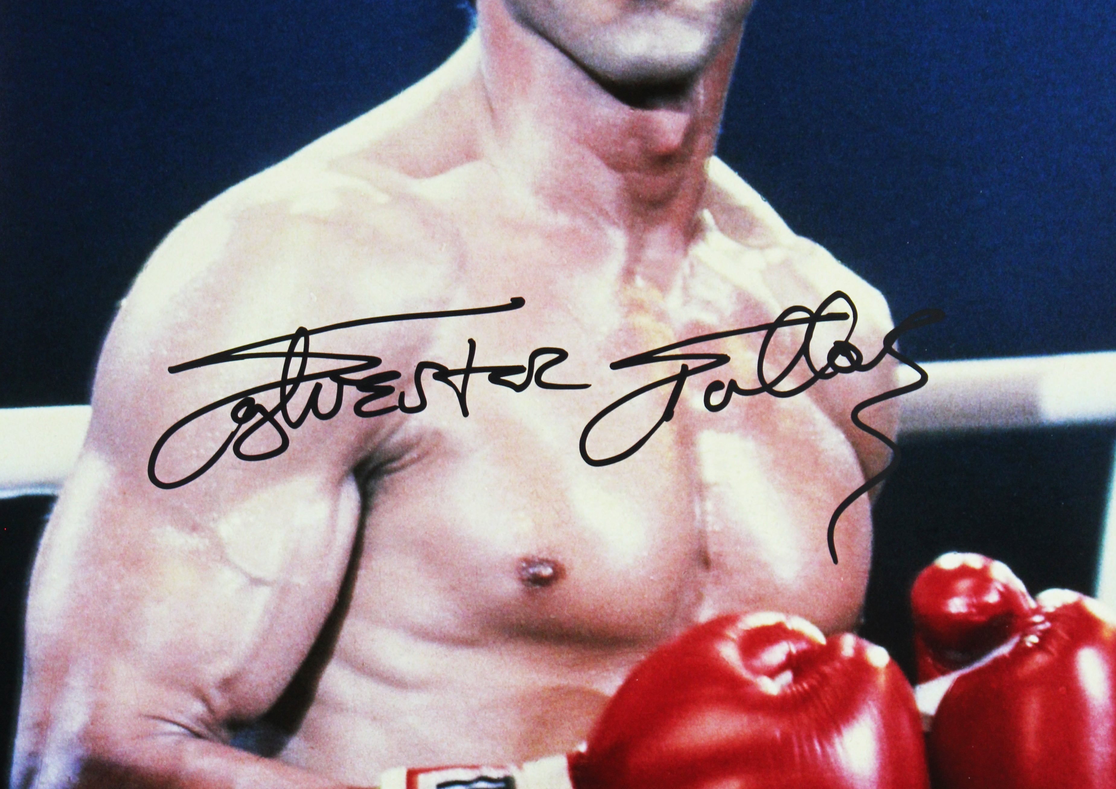 Sylvester Stallone Rocky Authentic Signed 16x20 Vertical Photo Autographed BAS