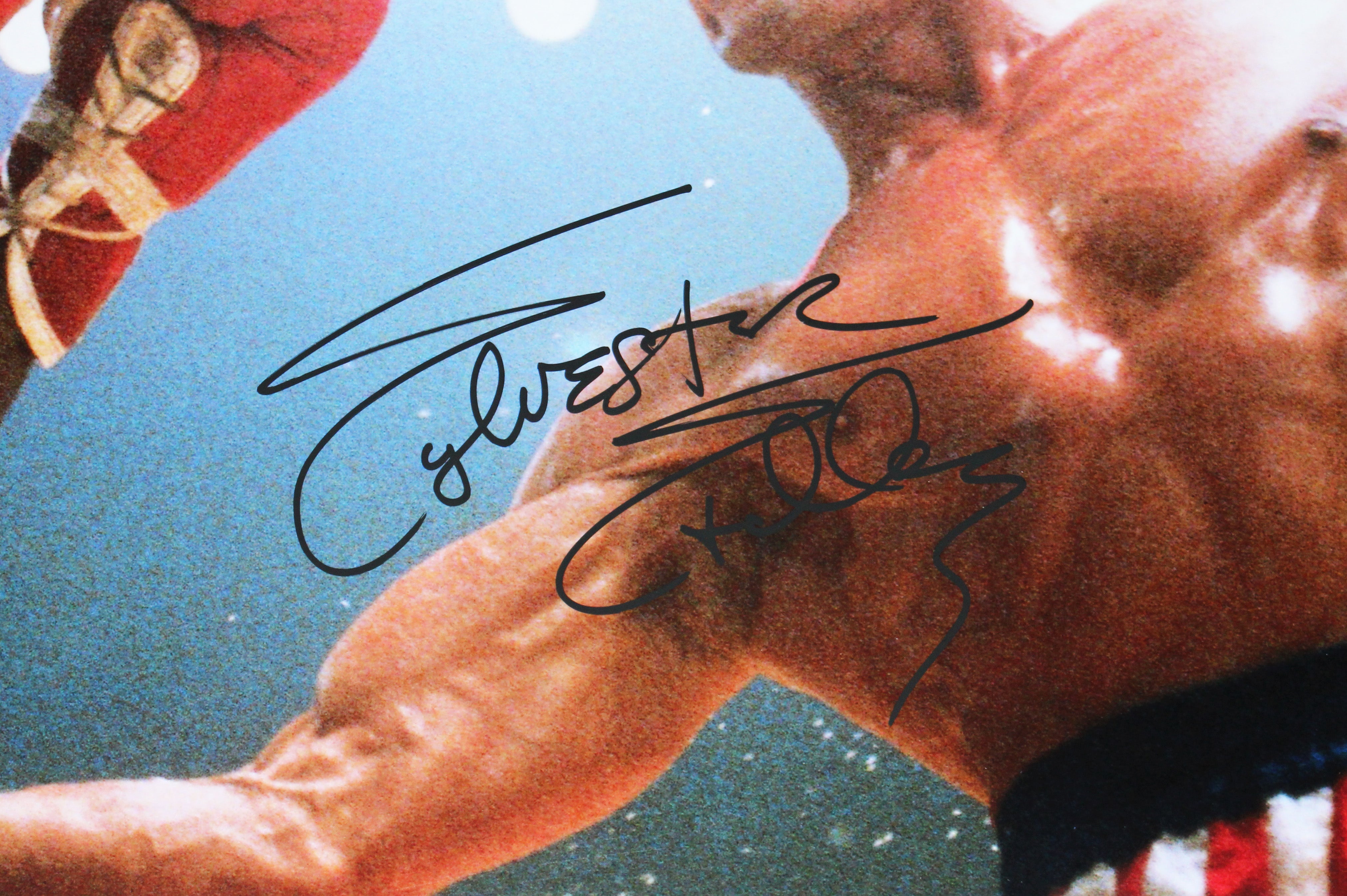 Sylvester Stallone Rocky III Authentic Signed 16x20 Horizontal Photo BAS