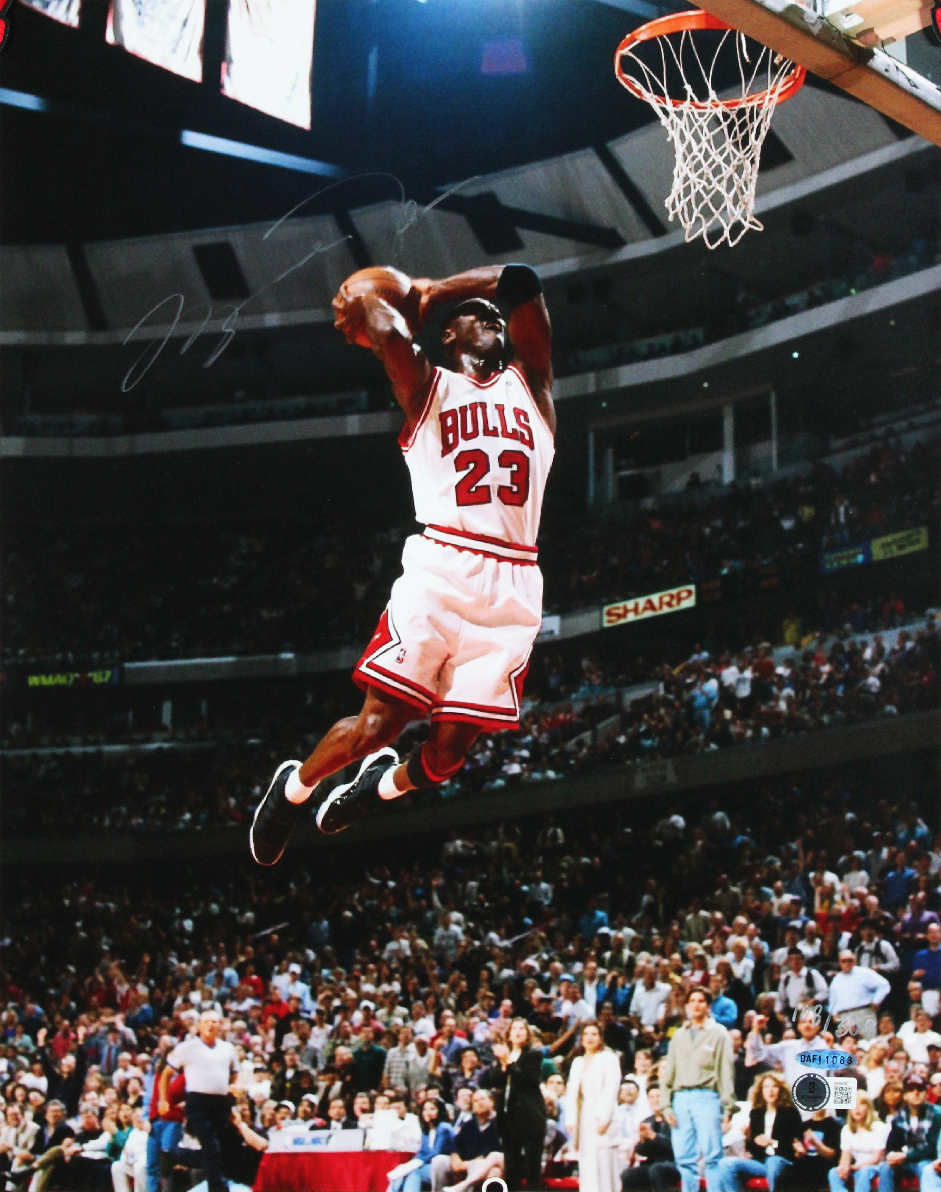 Bulls Michael Jordan Authentic Signed 16x20 Framed Photo LE #108/300 BAS & UDA