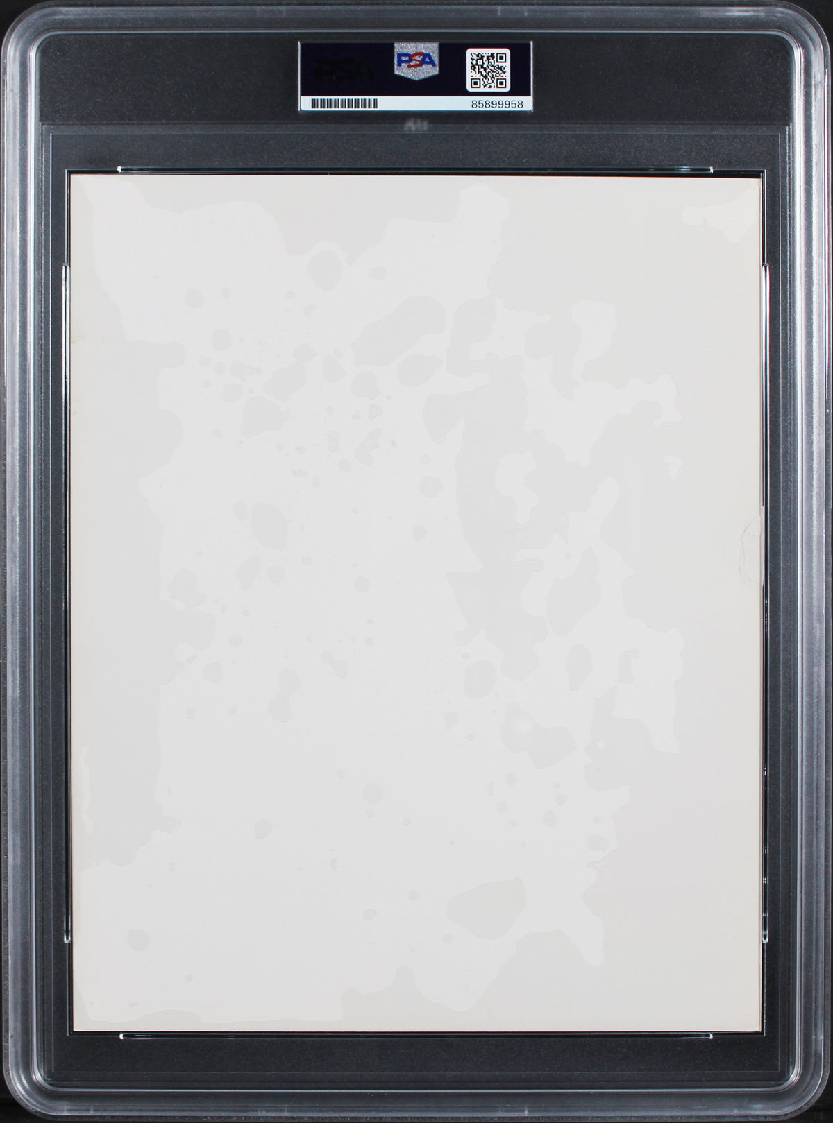 Jim Henson The Muppets "From Kermit the Frog" Signed 8x10 Promo Photo PSA Slab