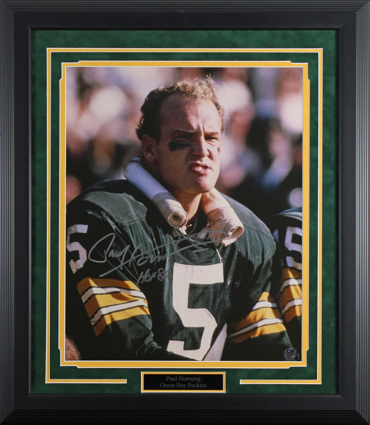 Packers Paul Hornung "HOF 86" Authentic Signed 16x20 Framed Photo BAS #AG010132