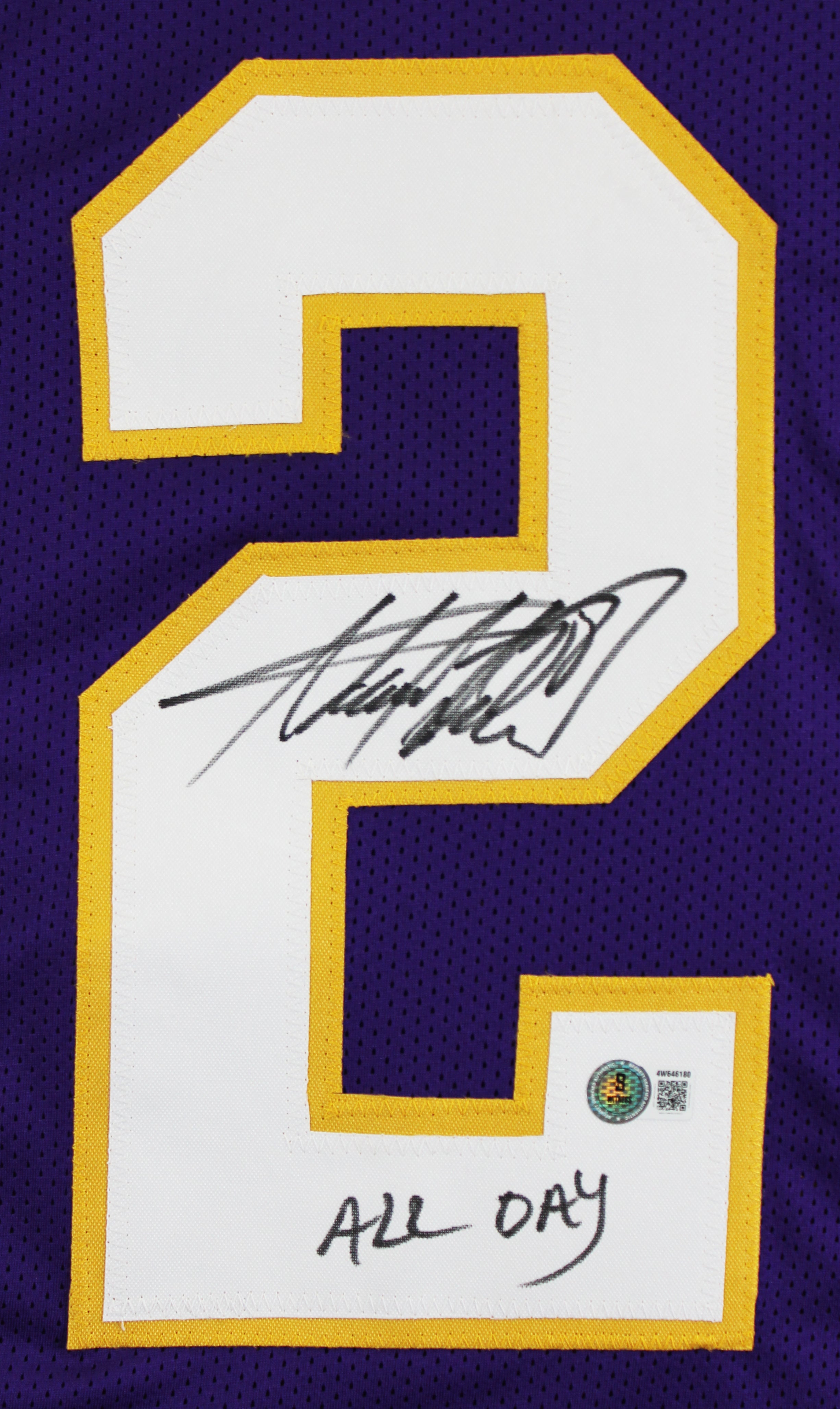 Adrian Peterson "All Day" Authentic Signed Purple Pro Style Jersey BAS Witness 2