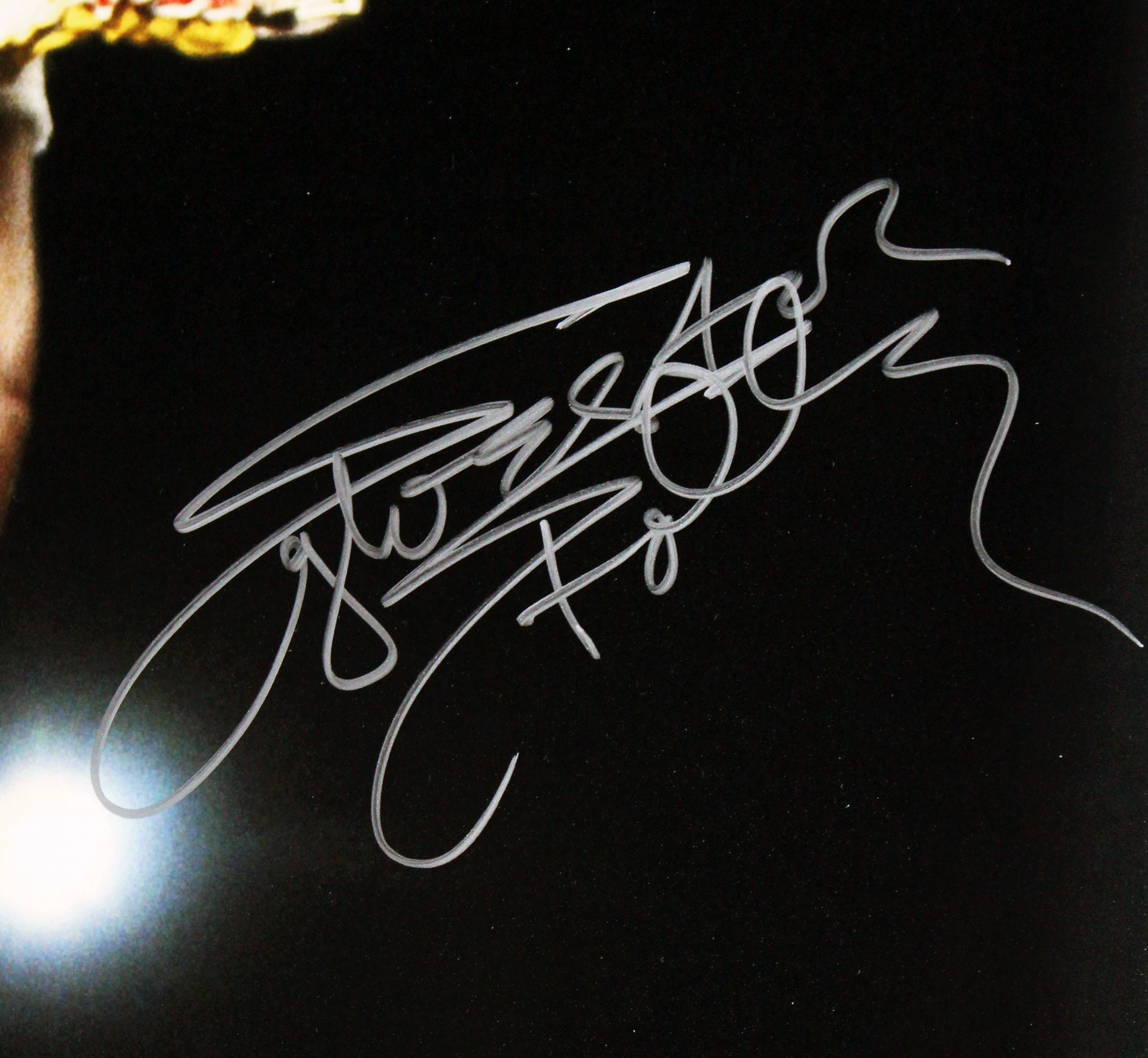 Sylvester Stallone Rocky II Authentic Signed 16x20 Horizontal Belt Photo BAS