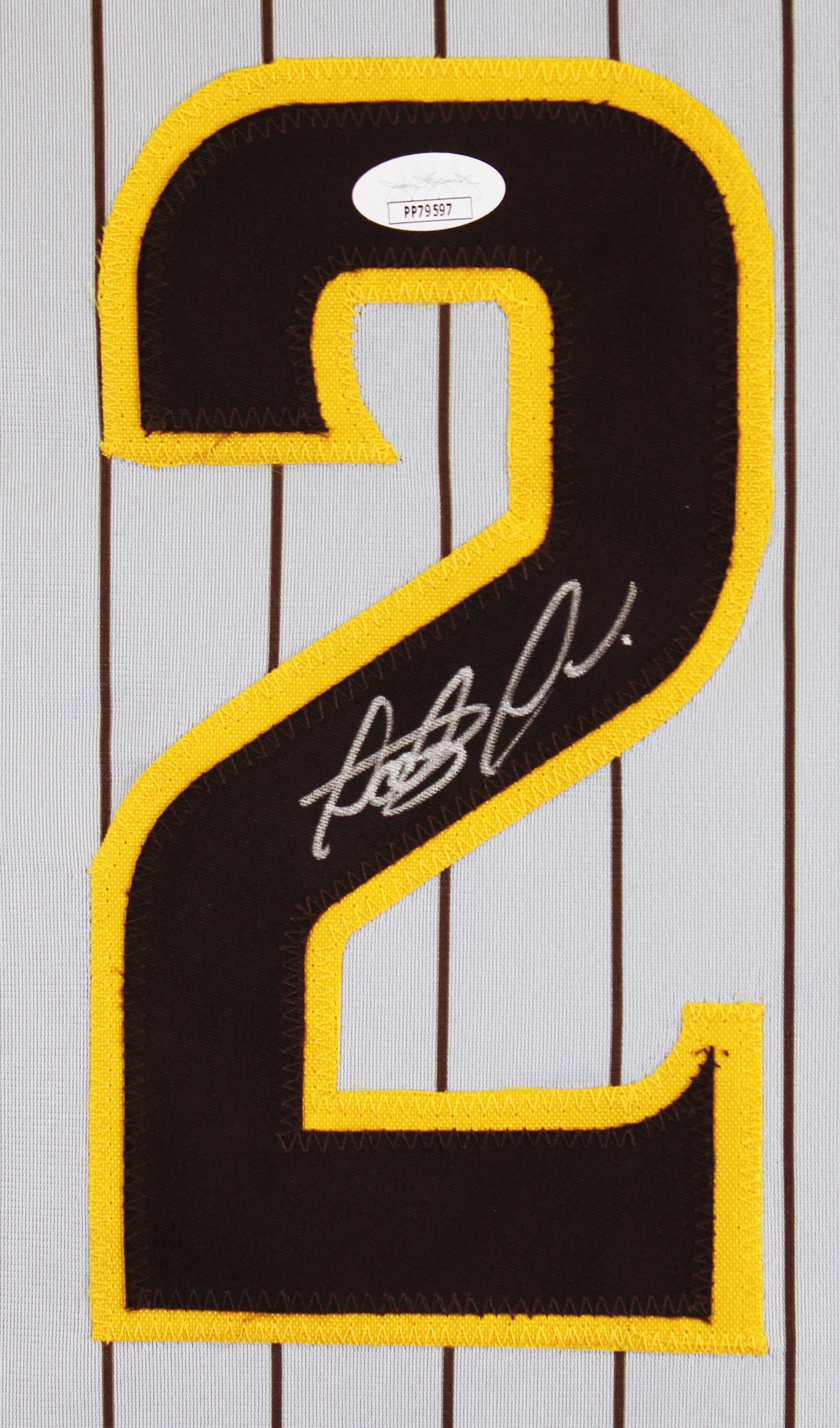Fernando Tatis Jr. Authentic Signed Grey Pinstripe Pro Style Jersey JSA