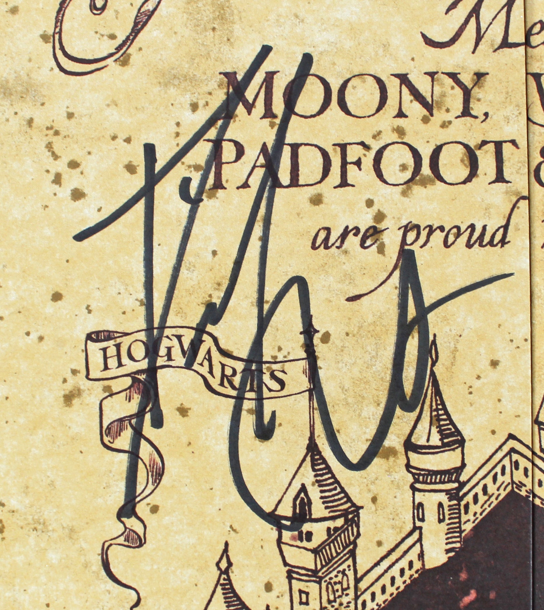 Daniel Radcliffe Harry Potter Signed 8.25x16 Marauder's Map BAS #BL40344