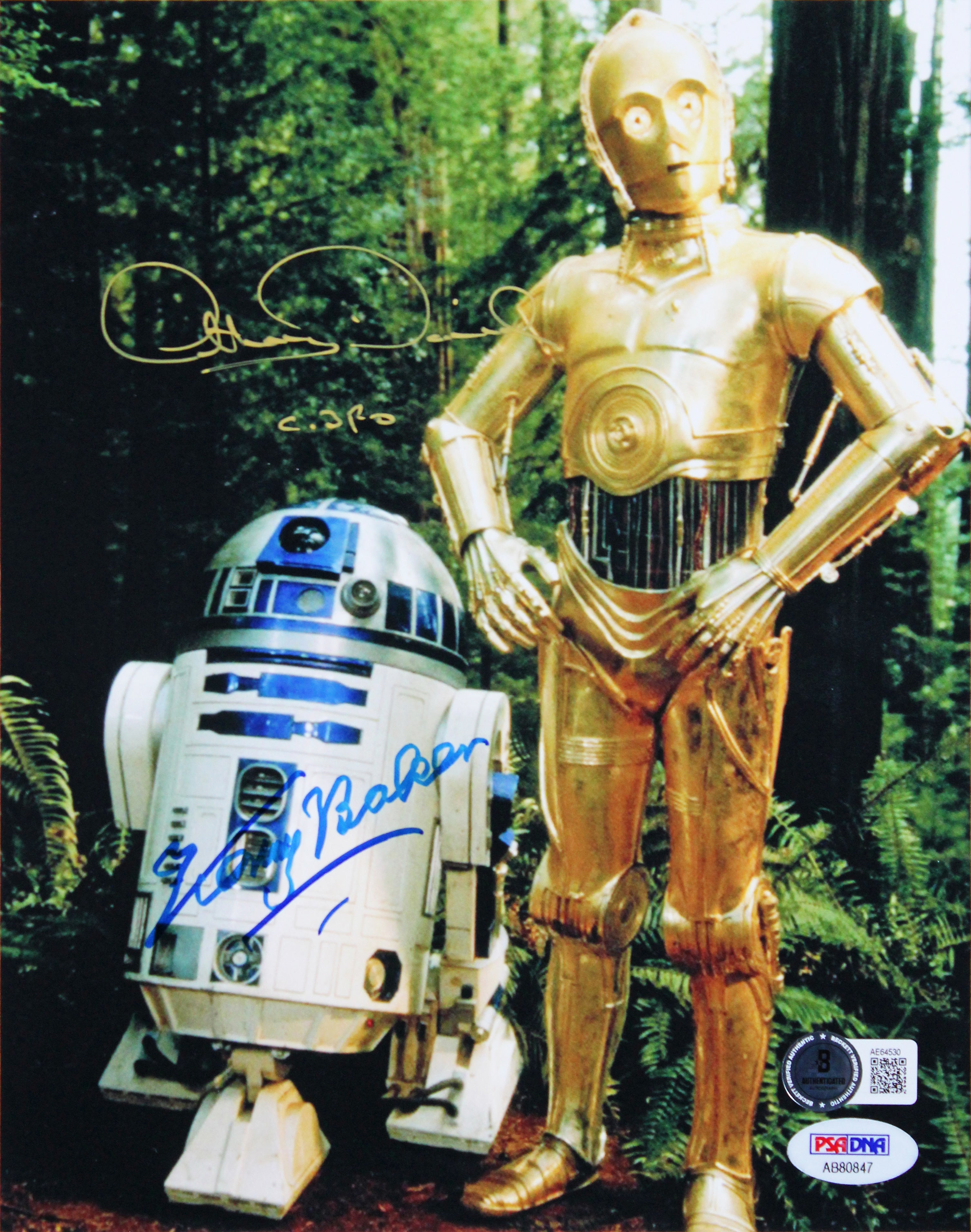 Kenny Baker & Anthony Daniels Star Wars Signed 8x10 Framed Photo BAS #AE64530