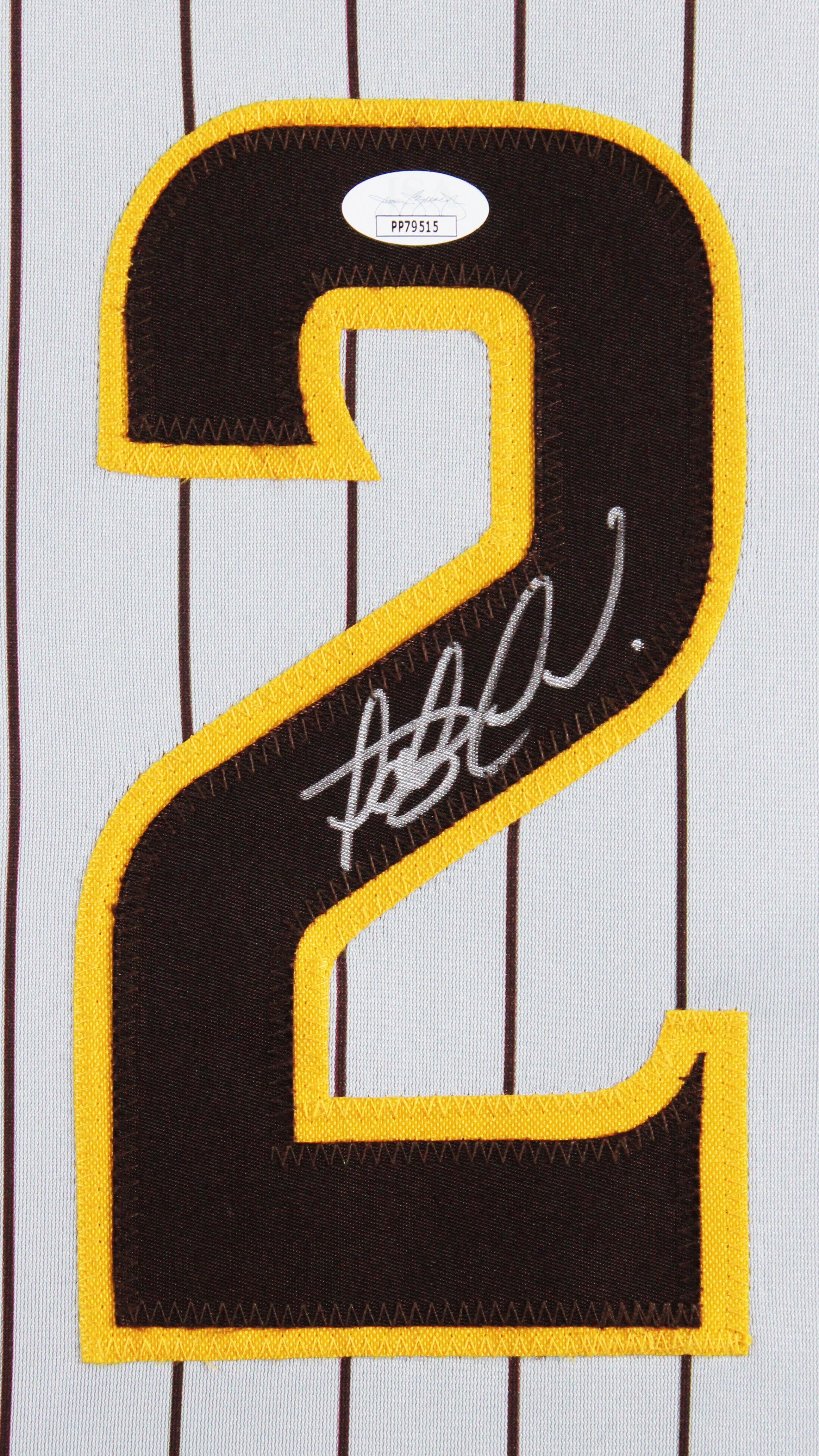 Fernando Tatis Jr. Authentic Signed Grey Pinstripe Pro Style Framed Jersey JSA