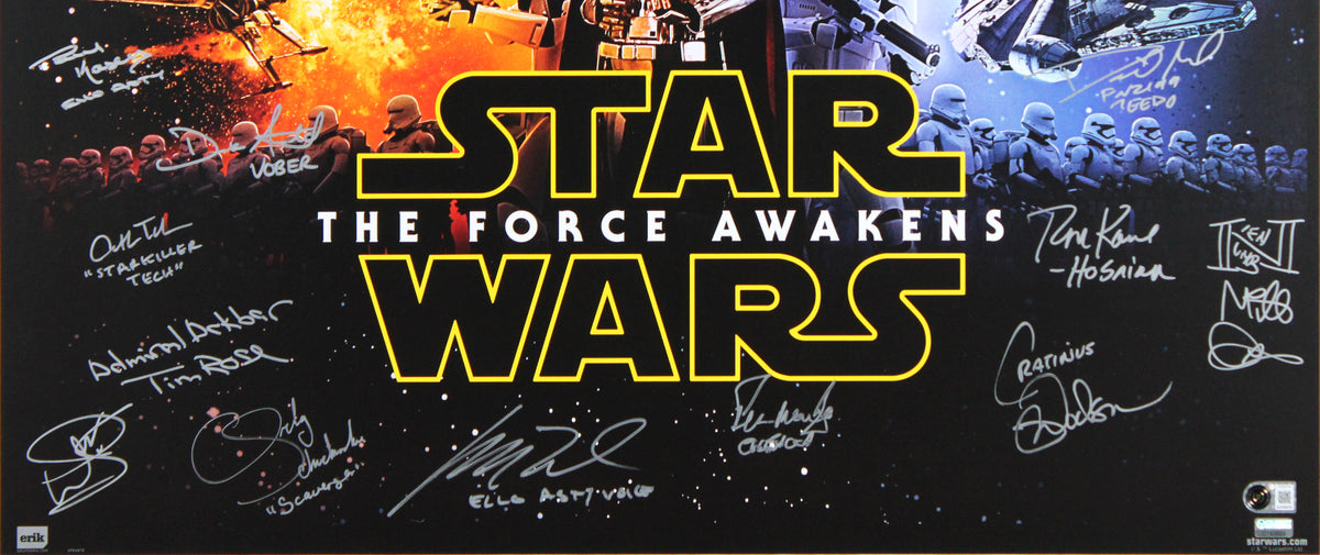 Star Wars (21) Hamill, Ridley, Mayhew, Driver Signed 27x40 Framed Poster BAS LOA