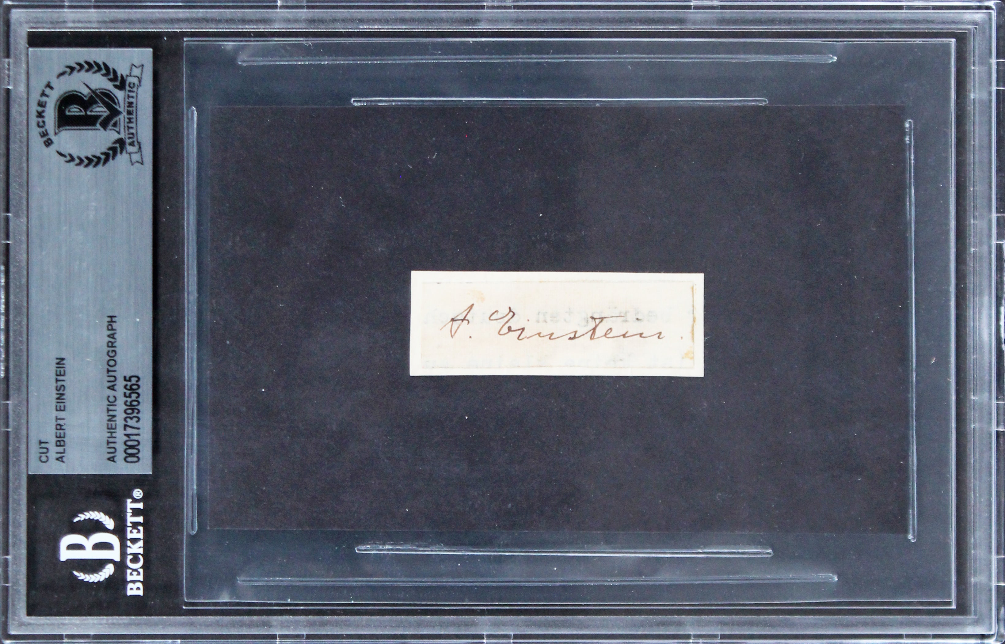 Albert Einstein Authentic Signed .5x1.85 Cut Signature Autographed BAS Slabbed