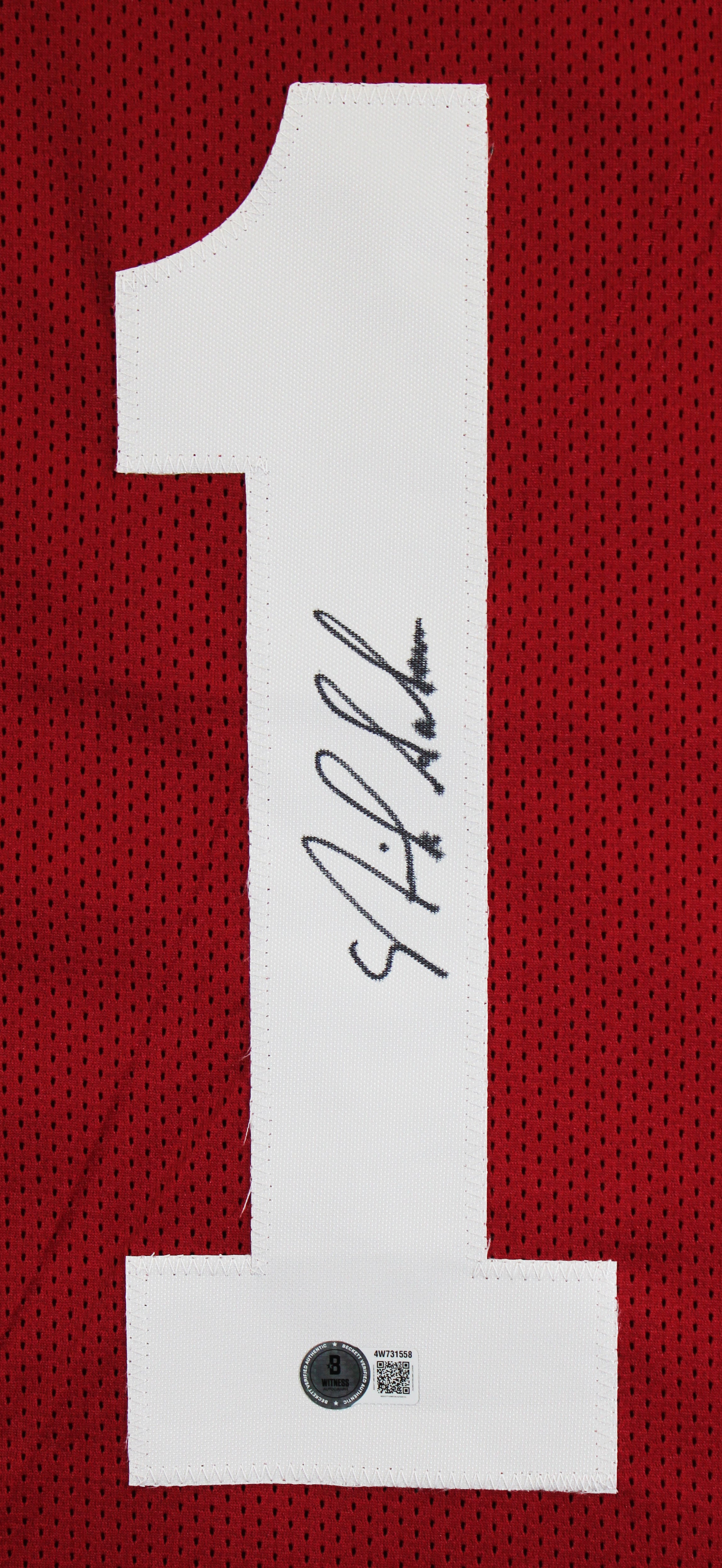Alabama Nick Saban Authentic Signed Maroon Pro Style Jersey Autographed BAS