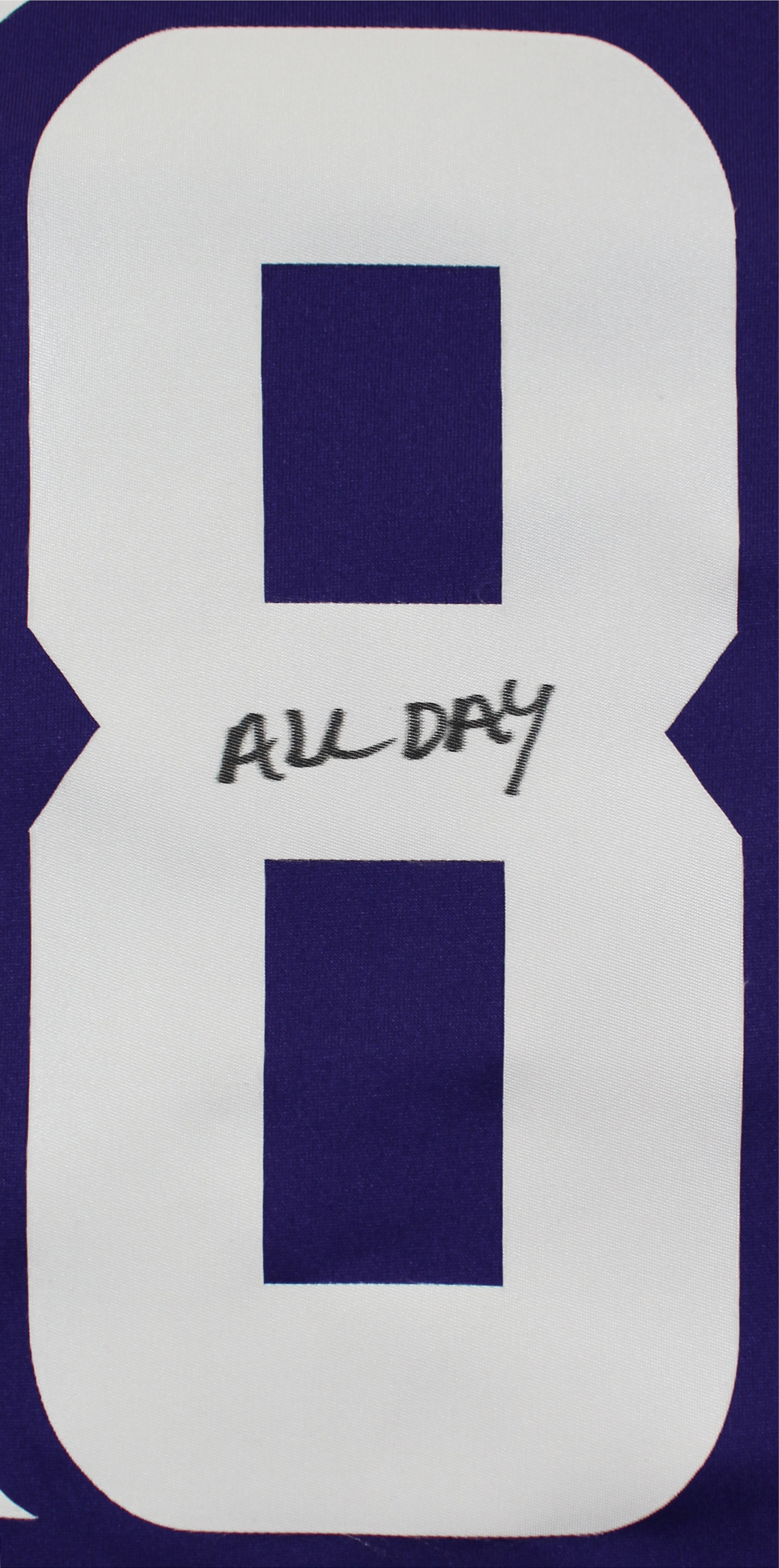Vikings Adrian Peterson "All Day" Signed Purple Nike Game Jersey BAS Witnessed